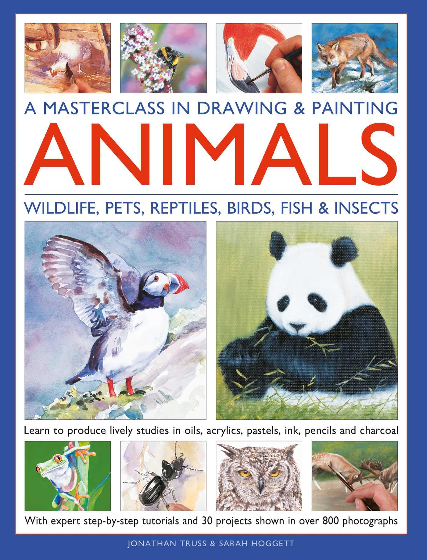 A Masterclass in Drawing & Painting Animals (Wildlife, Pets, Reptiles, Birds, Fish & Insects): Learn to produce lively studies in oils, acrylics, ... projects shown in more than 800 photographs