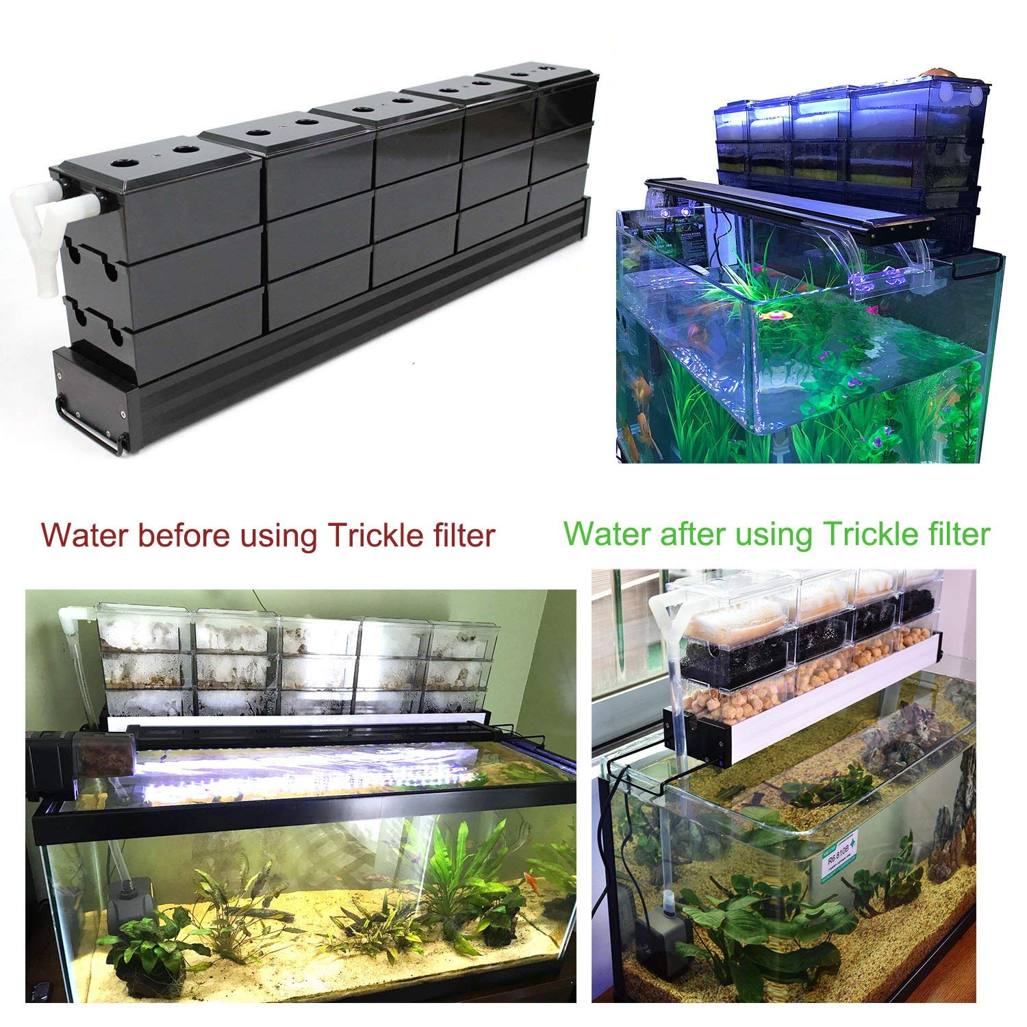 Ae Shop Aquarium Canister Fish Tank Filter Cartridge For 2 | Desertcart  Aruba