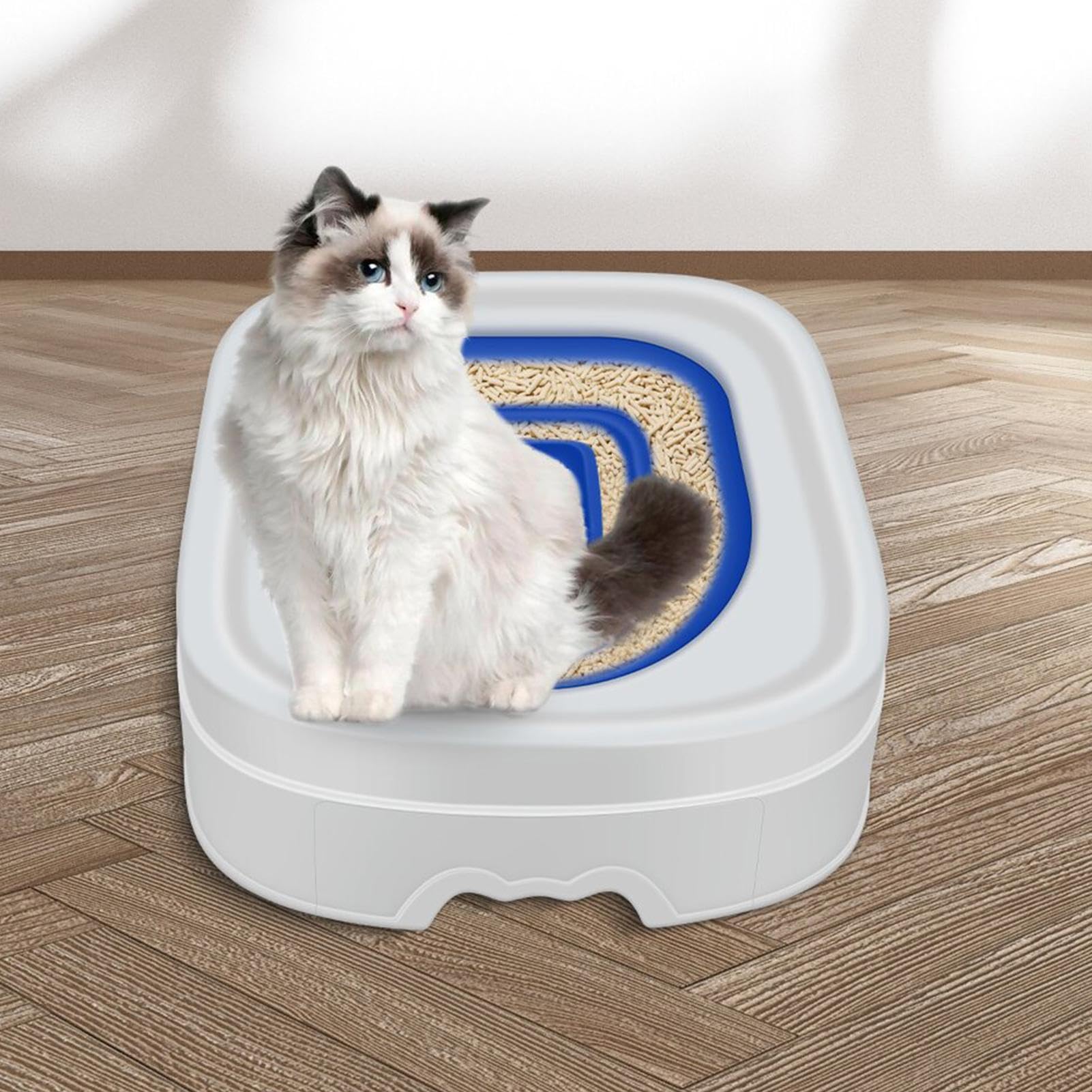 Apprentissage De La Propreté Pour Chat | Litière Pour Chaton, Pot D'apprentissage De La Propreté Pour Animal Domestique, Toilette Pour Chat, Pot Pour