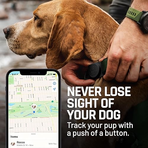 Miniatura 5 de Mammoth Airtag - Soporte para collar de perro, fuerte soporte para Airtag para perro es la manera perfecta de rastrear GPS a tu perro, utiliza la