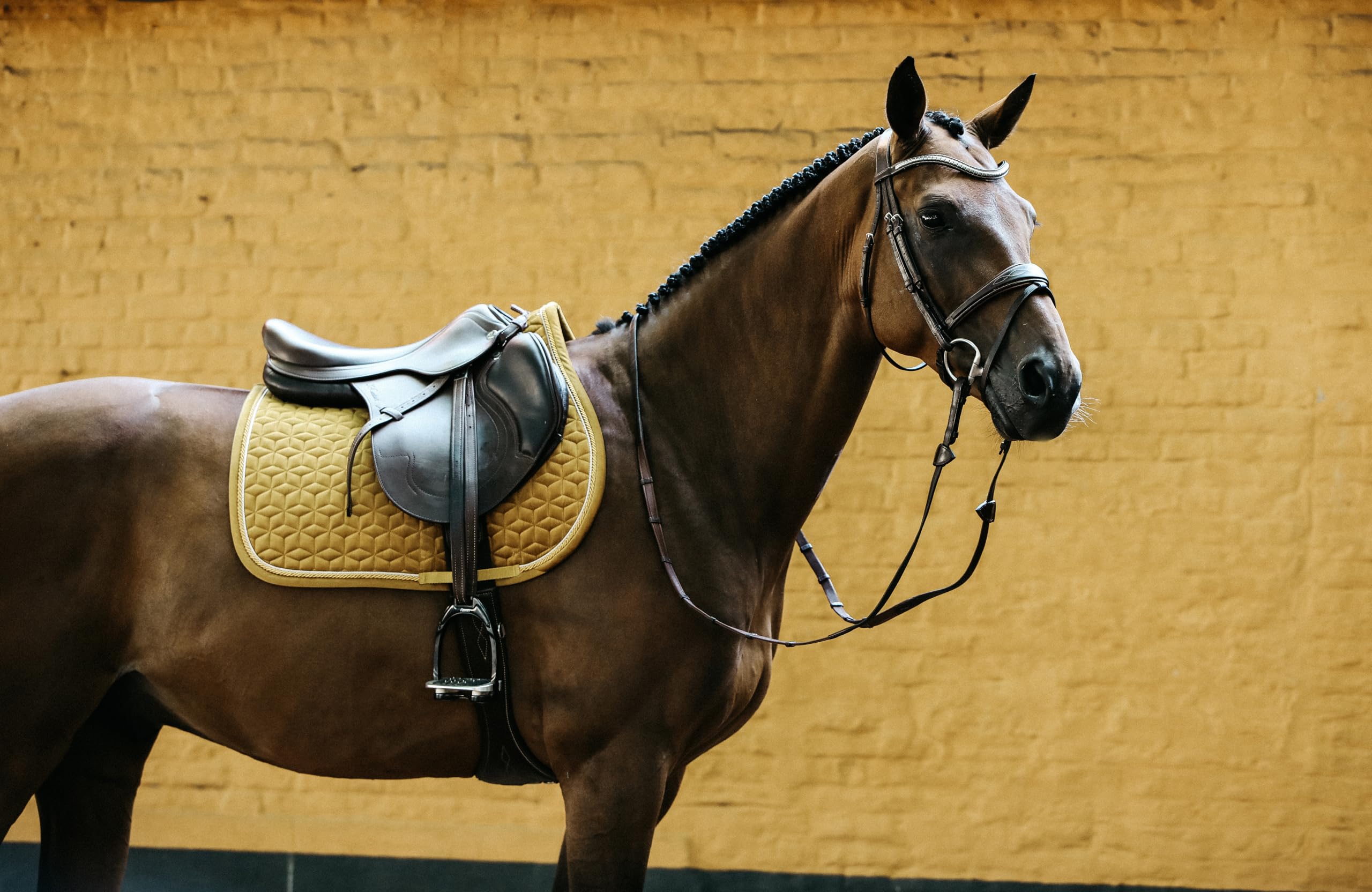 Kentucky Horsewear Satteldecke Velvet Springen Full – Mustard Schabracke – Springform mit Doppelkordel – Atmungsaktiv – Maschinenwaschbar