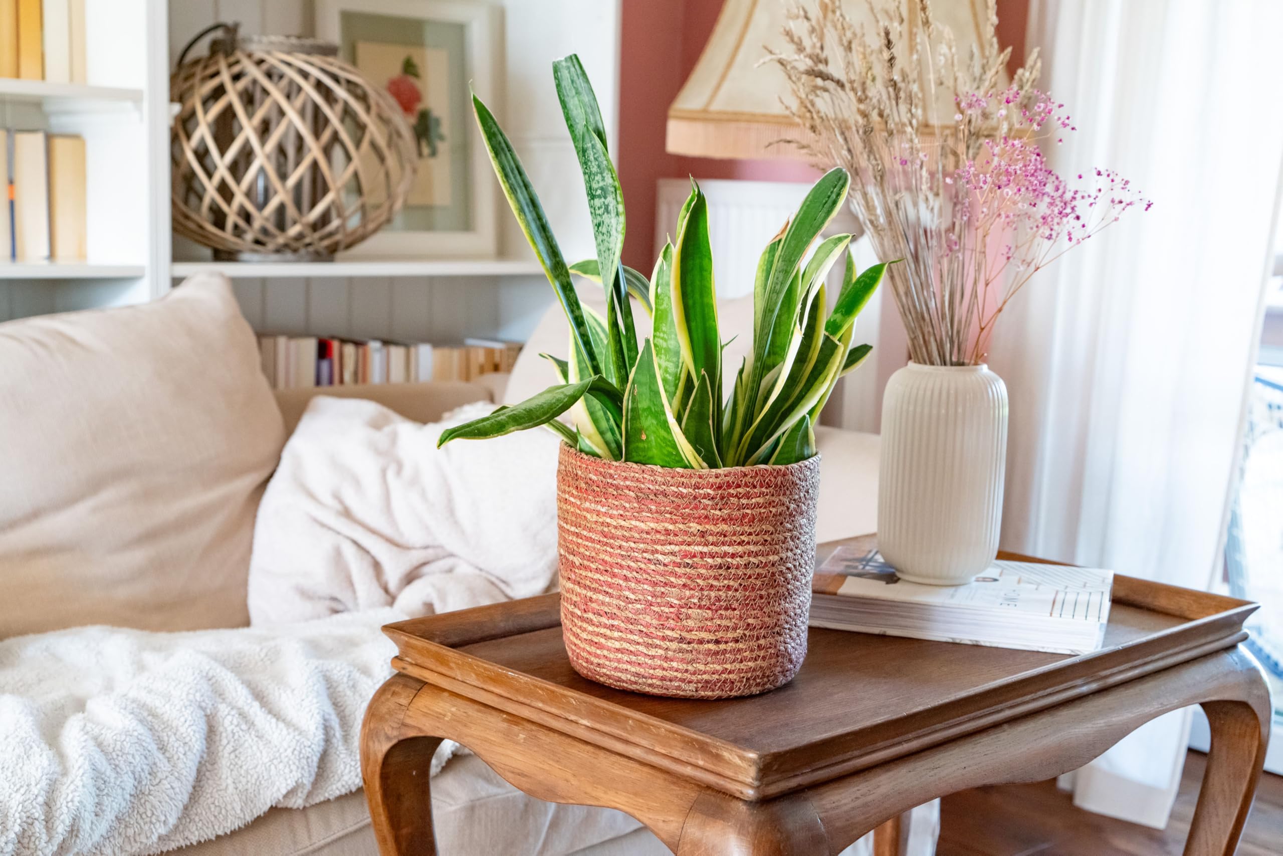 Decorasian Seegras Blumentopf – Übertopf geflochten – dekorativer Planzenkorb mit Folieneinsatz im Boho Stil