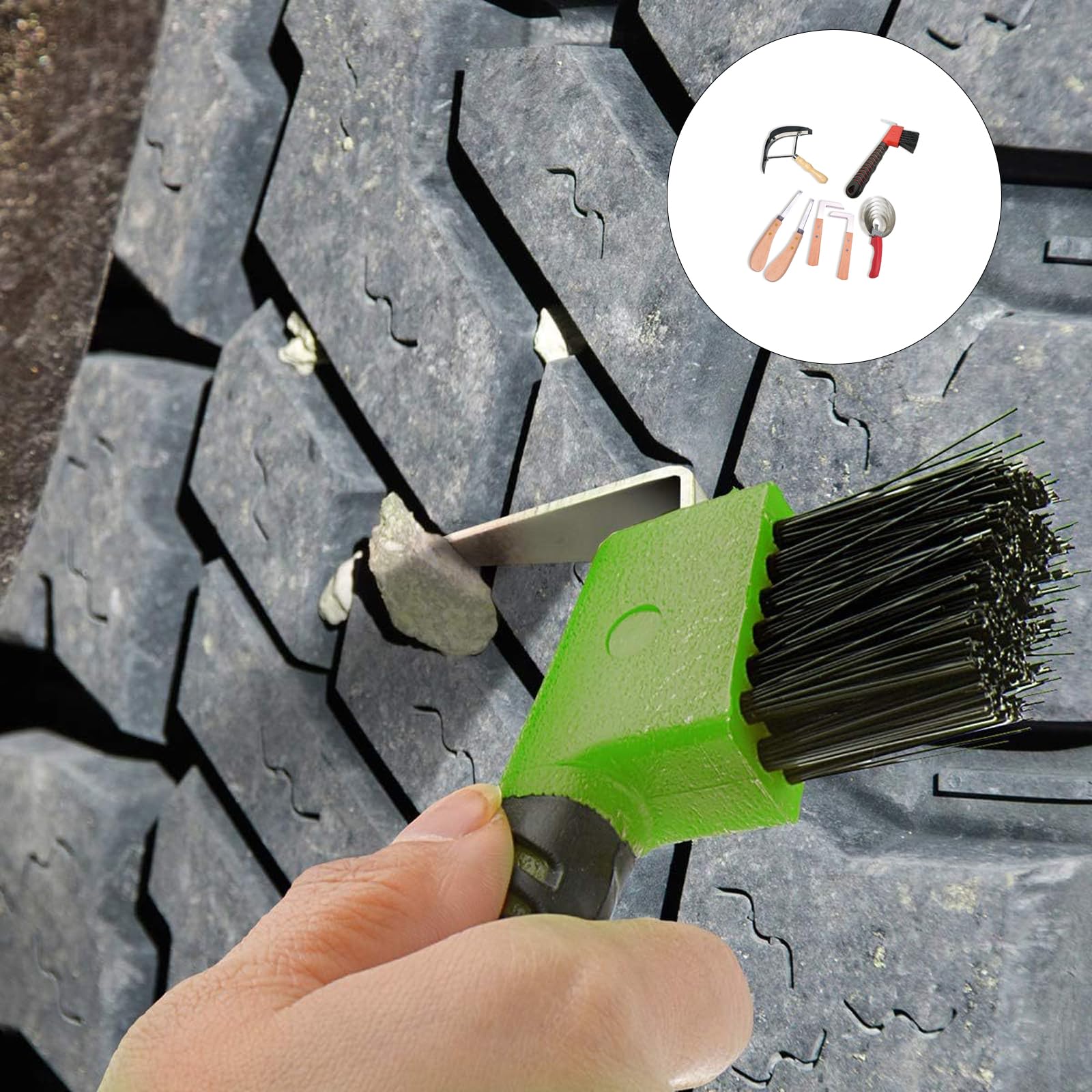 Set Strumenti Professionali per La Cura dello Zoccolo Strumento per Rifilare Lo Zoccolo in Acciaio Inossidabile con Manico in Legno per Bovini E Cura del Bestiame per Animali da Fattoria