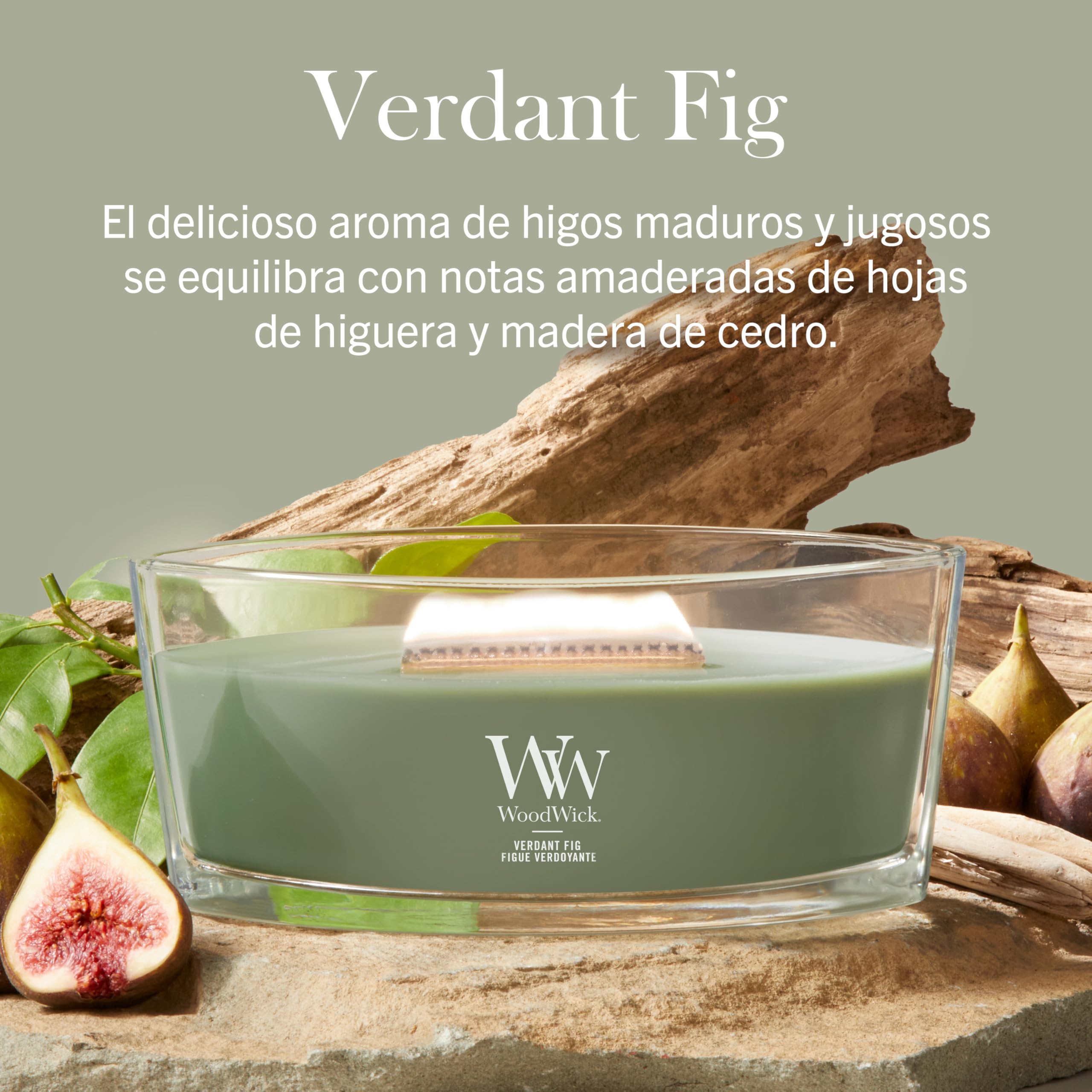 WoodWick | Vela Elíptica | Higo Verde | Gran regalo para mujeres