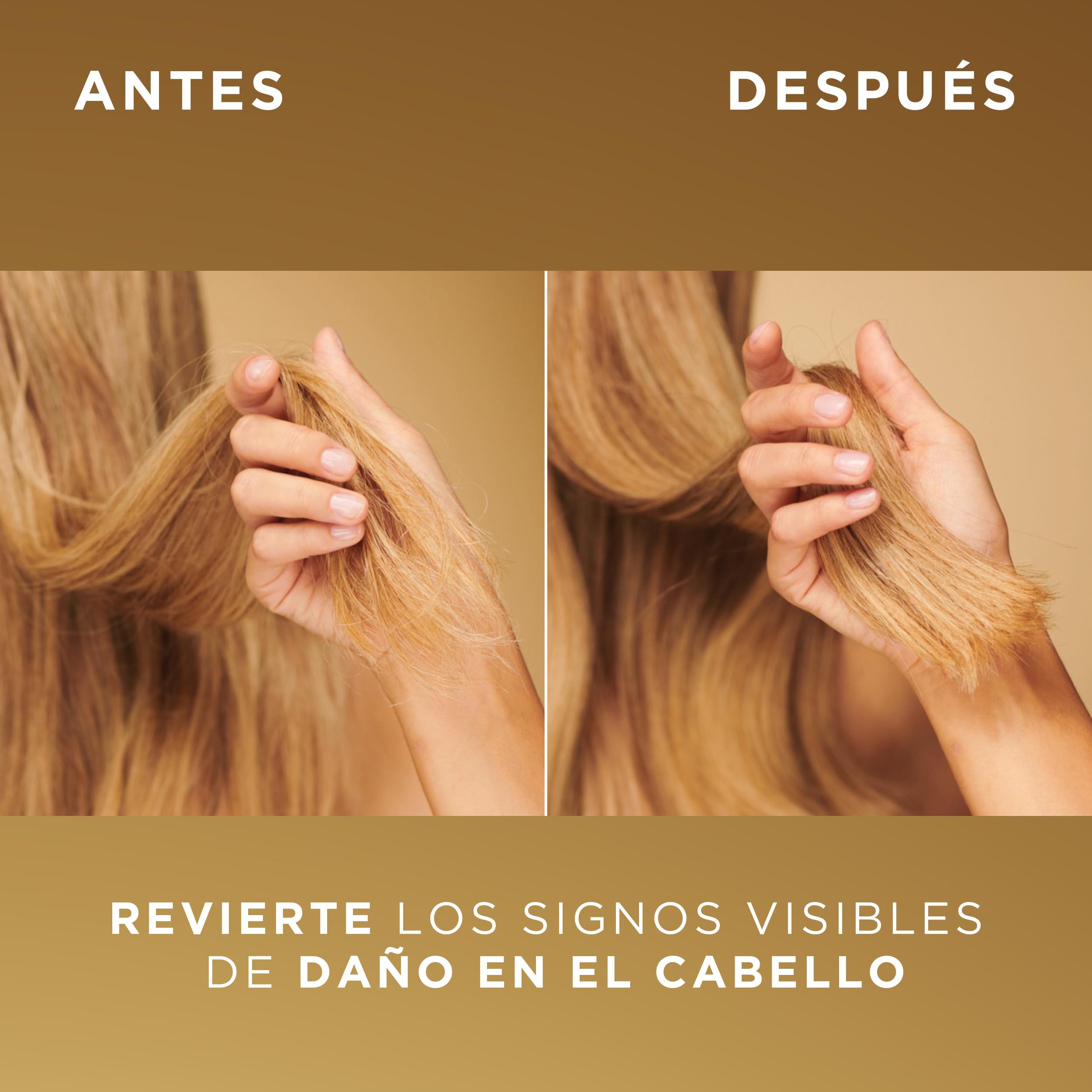 Pantene Pro-V Miracles Bond Repair Champú, Mascarilla y Acondicionador Pelo | Formatos de 300 y 150 ml, Cuidado Intensivo para el Cabello Seco y Dañado