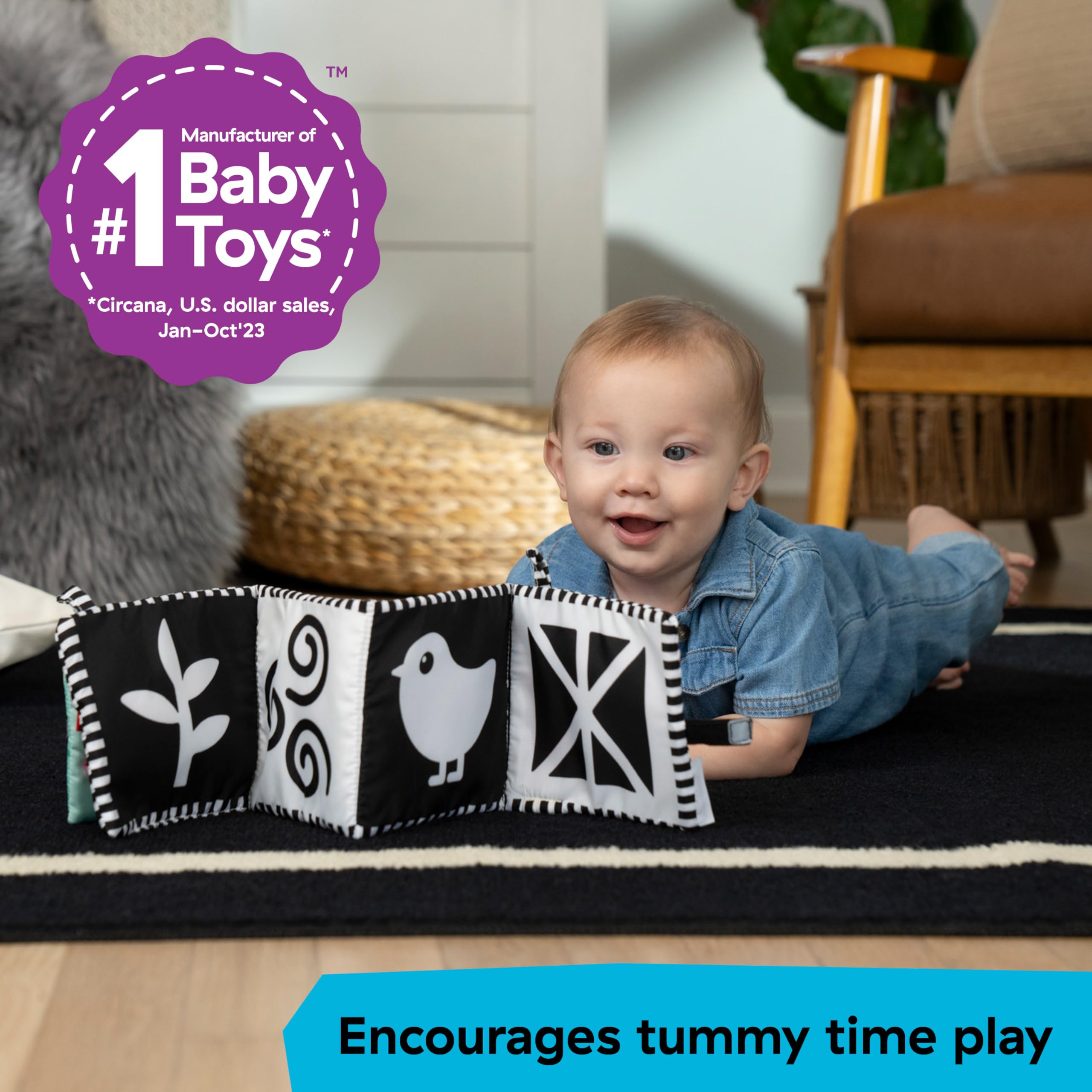 Amazon.com: Baby Einstein Farm Explorers Counting at the Farm Soft
