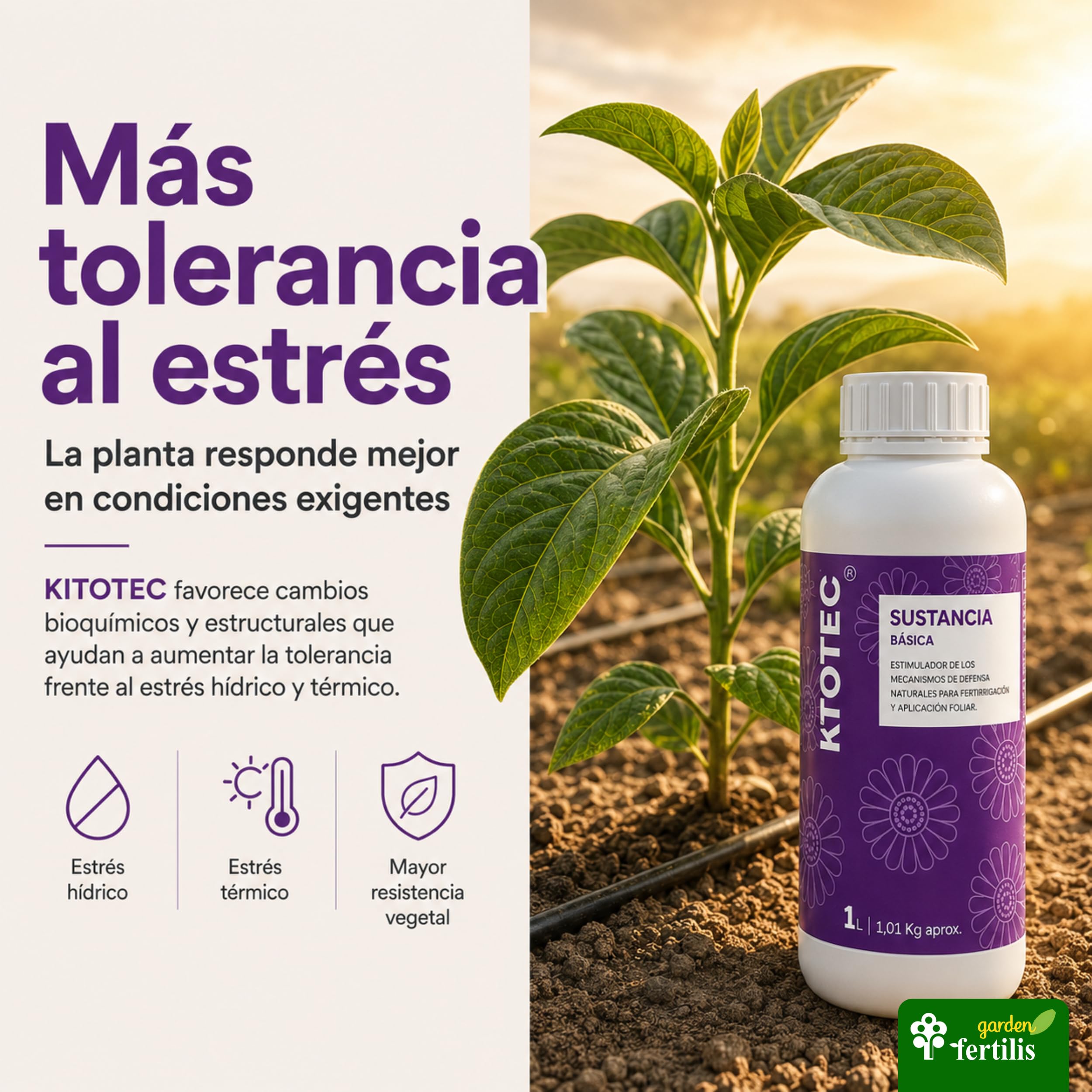 BC Fertilis KITOTEC | Fertilizante Ecológico Profesinal 1L con Quitosano 5%. Crea un Biofilm Protector Natural contra Hongos e Insectos. Eficaz Frente al Estrés Hídrico y Térmico. Certificado CAAE