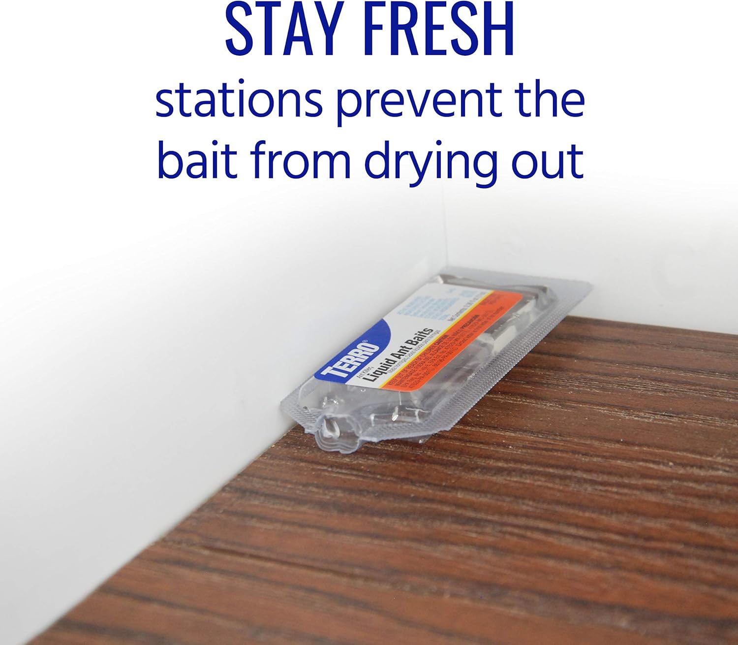 TERRO T300B Liquid Ant Killer, 12 Bait Stations : Home Pest Lures : Patio, Lawn & Garden