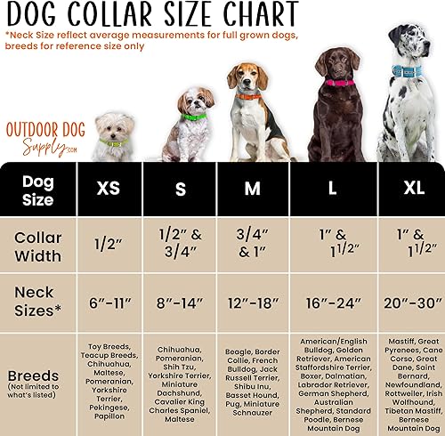 Miniatura 4 de Collar de perro con anillo en D impermeable reflectante resistente de 1 pulgada para perros medianos y grandes con placa de identificación de latón