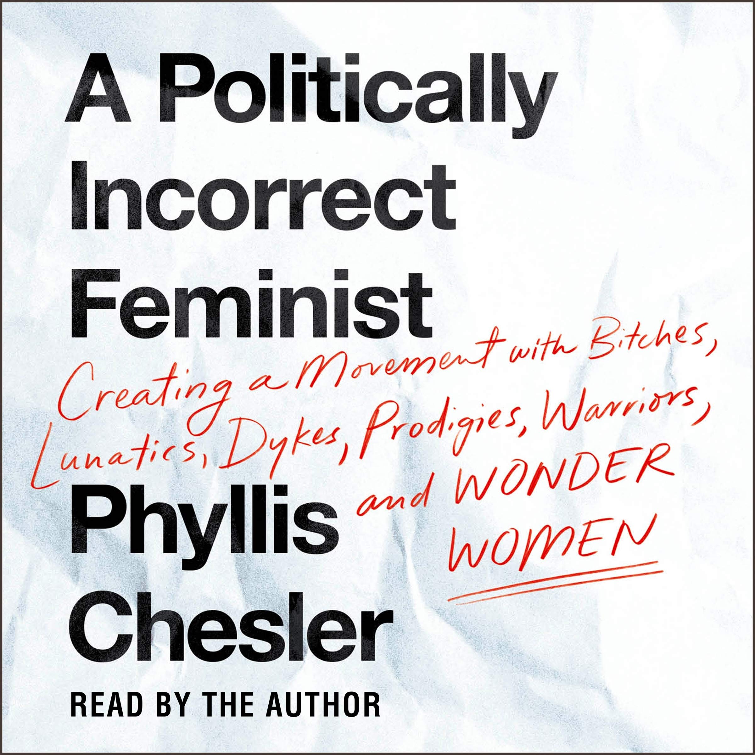 Cover art for A Politically Incorrect Feminist