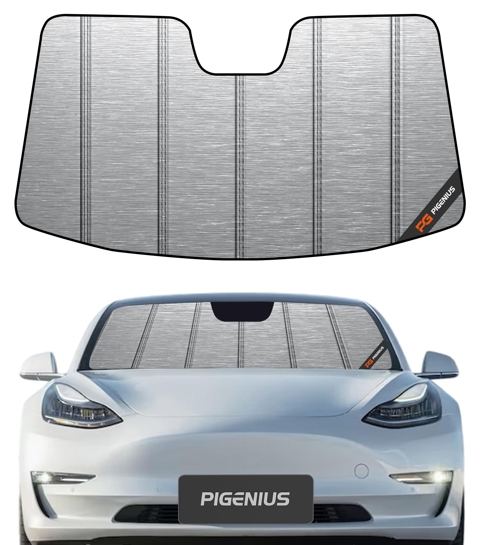 Pigenius Metallic Shade