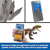 Ver la foto 6