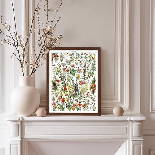 Miniatura 374 de Poster Master Póster vintage de orquídea, estampado de flores retro, arte de pared de plantas exóticas, arte botánico, regalo para hombres y