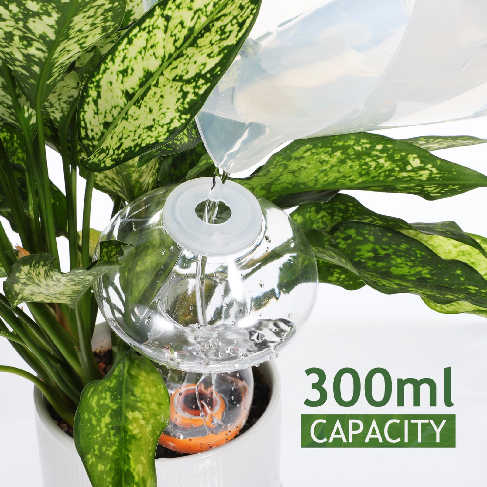 Kisangel Globes D'arrosage pour Plantes À Champignons 6 Pièces Pointes D'arrosage pour Plantes 300 ML Pointes D'arrosage Automatique pour Champignons Ampoule D'arrosage pour Plantes
