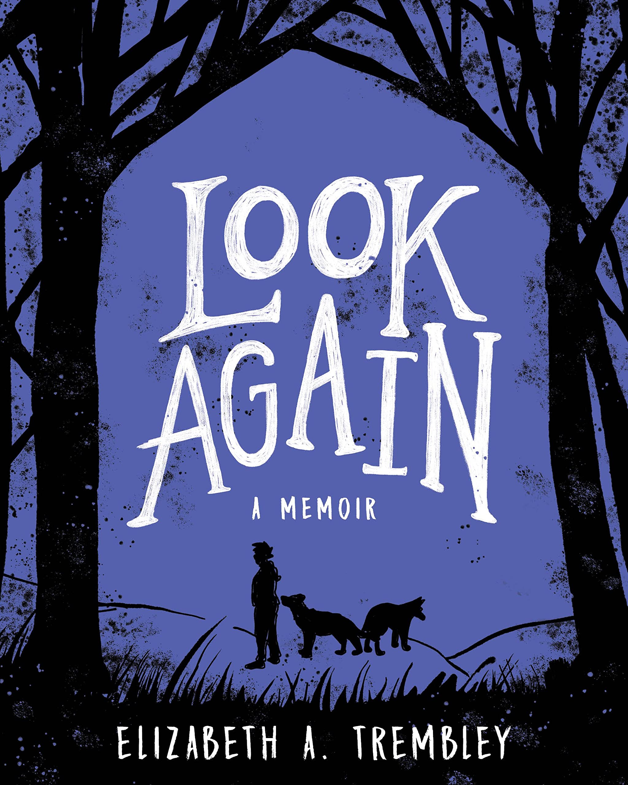 Look Again by Elizabeth A. Trembley PAPERBACK 9781951491185