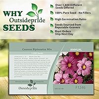 Vista 5 de Outsidepride Mezcla anual de semillas de flores silvestres Cosmos Bipannatus de 1000 semillas para plantar