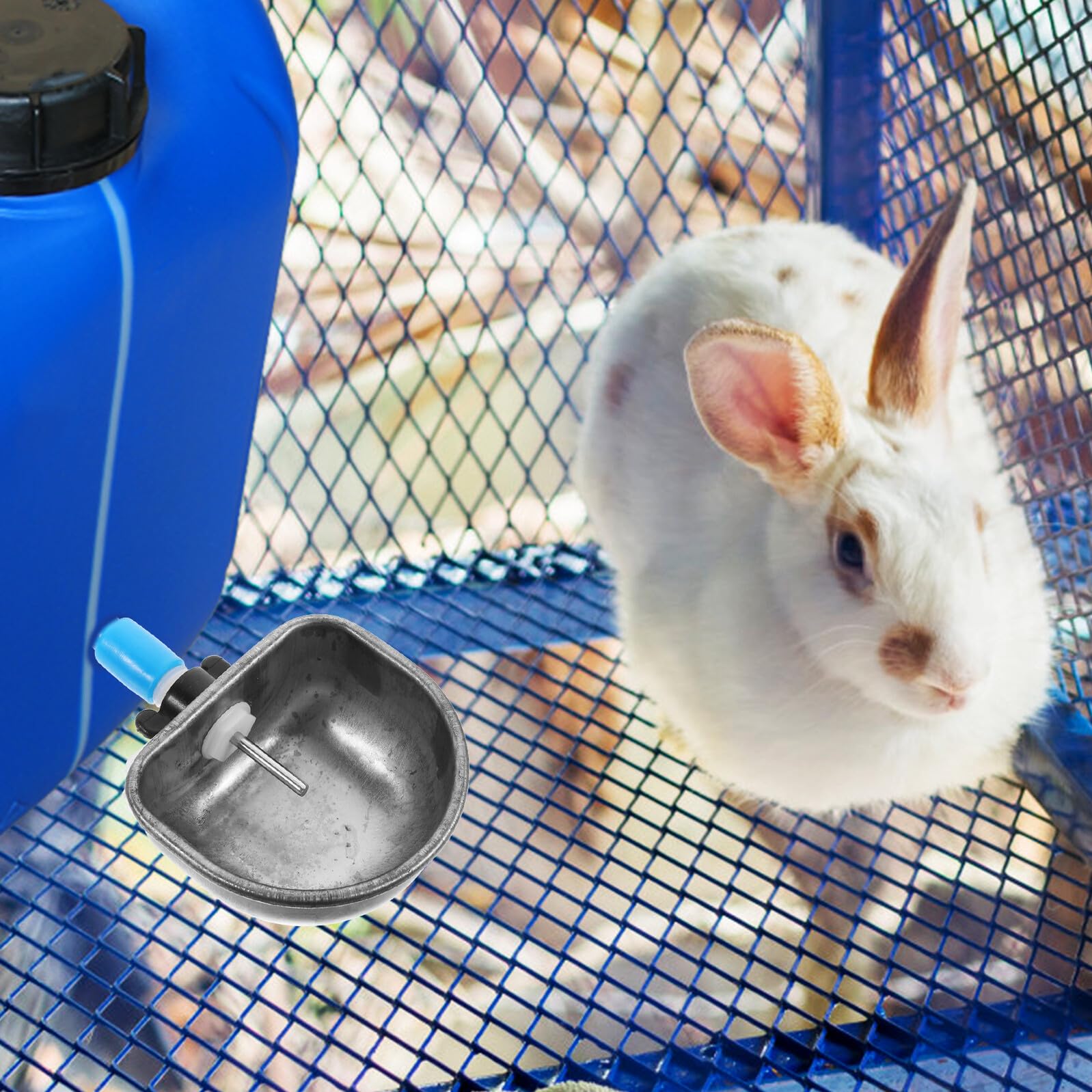 COLLBATH 6 pièces Abreuvoir Lapin INOX Bol Automatique Capacité pour Cage Clapier Distributeur Eau Anti-Morsure pour Alimentation Confort Lapins