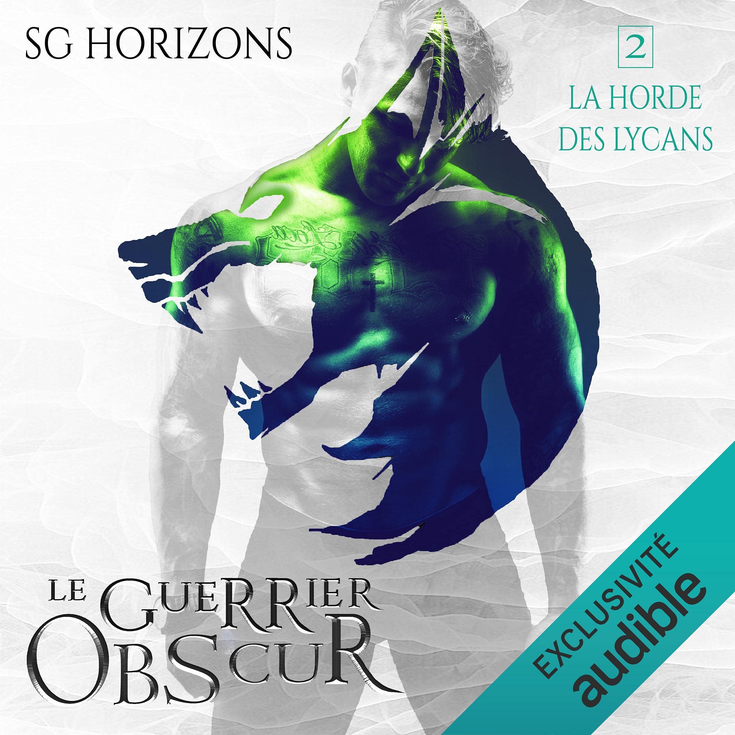 Cover art for Le guerrier obscur