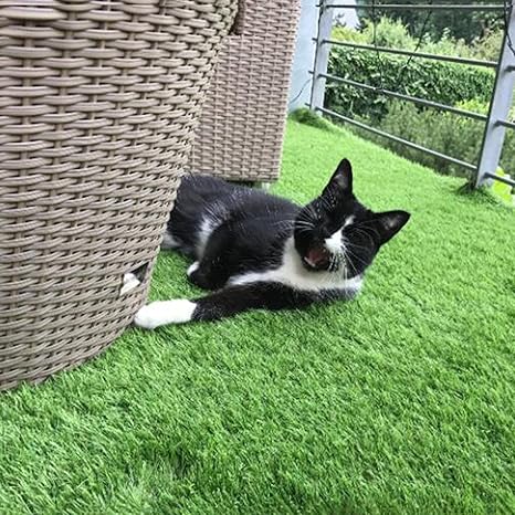 Amazon 人工芝 ロール 芝生工芸品子供のおもちゃマット 芝丈2 2 5 3cm リアル人工芝 庭 Diy 芝生 ふかふか 人工芝生 ガーデニング 多サイズ選択可 本物の芝生のようなリアルな見た目と質感 Color 25mm Encryption Thickening Size 1x3m 人工観葉植物 Amazon 人工芝 ロール 芝生工芸品子供のおもちゃマット 芝丈2 2 5 3cm リアル人工芝 庭 Diy 芝生 ふかふか 人工芝生 ガーデニング 多サイズ選択可 本物の芝生のようなリアルな見た目と質感 Color 25mm Encryption Thickening Size 1x3m 人工観葉植物