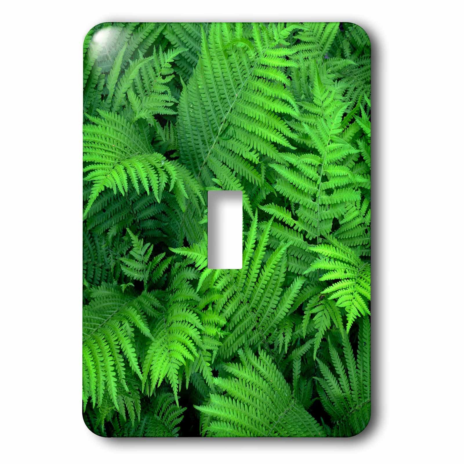 Cubierta para interruptor de luz 3dRose lsp_279347_1 de diseño decorativo variado para pared
