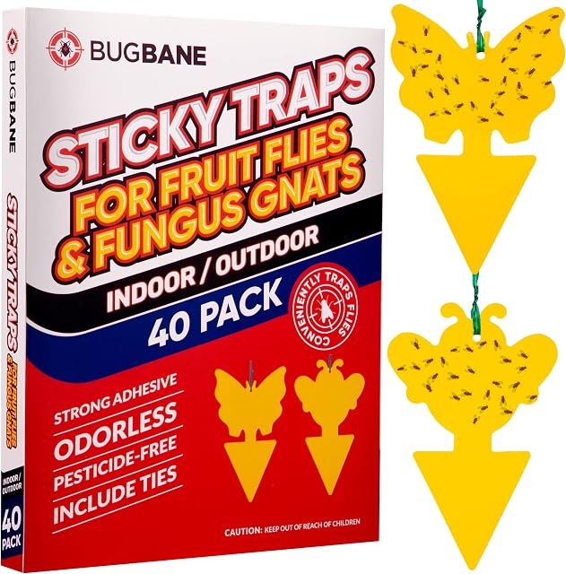 Fungus Gnat Sticky Traps for Plants 40pk with Ties. Gnat Traps for House Indoor Plants Yellow Sticky Traps for Gnats. Fruit Fly Traps Fungus Gnat Killer Indoor Trap Plant Sticky Traps for Bugs Catcher