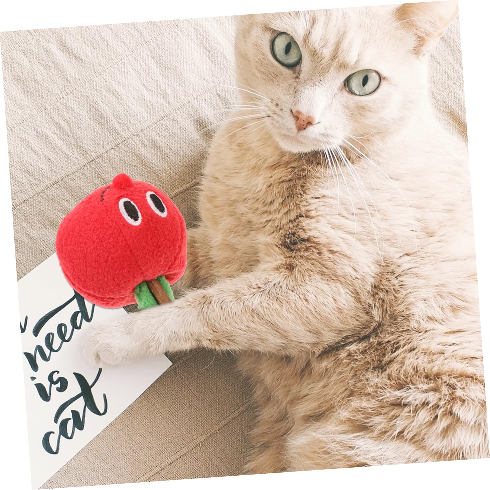 Bâtonnet Jouet pour Chat Fruit Rouge en Peluche, Actinidia Polygama