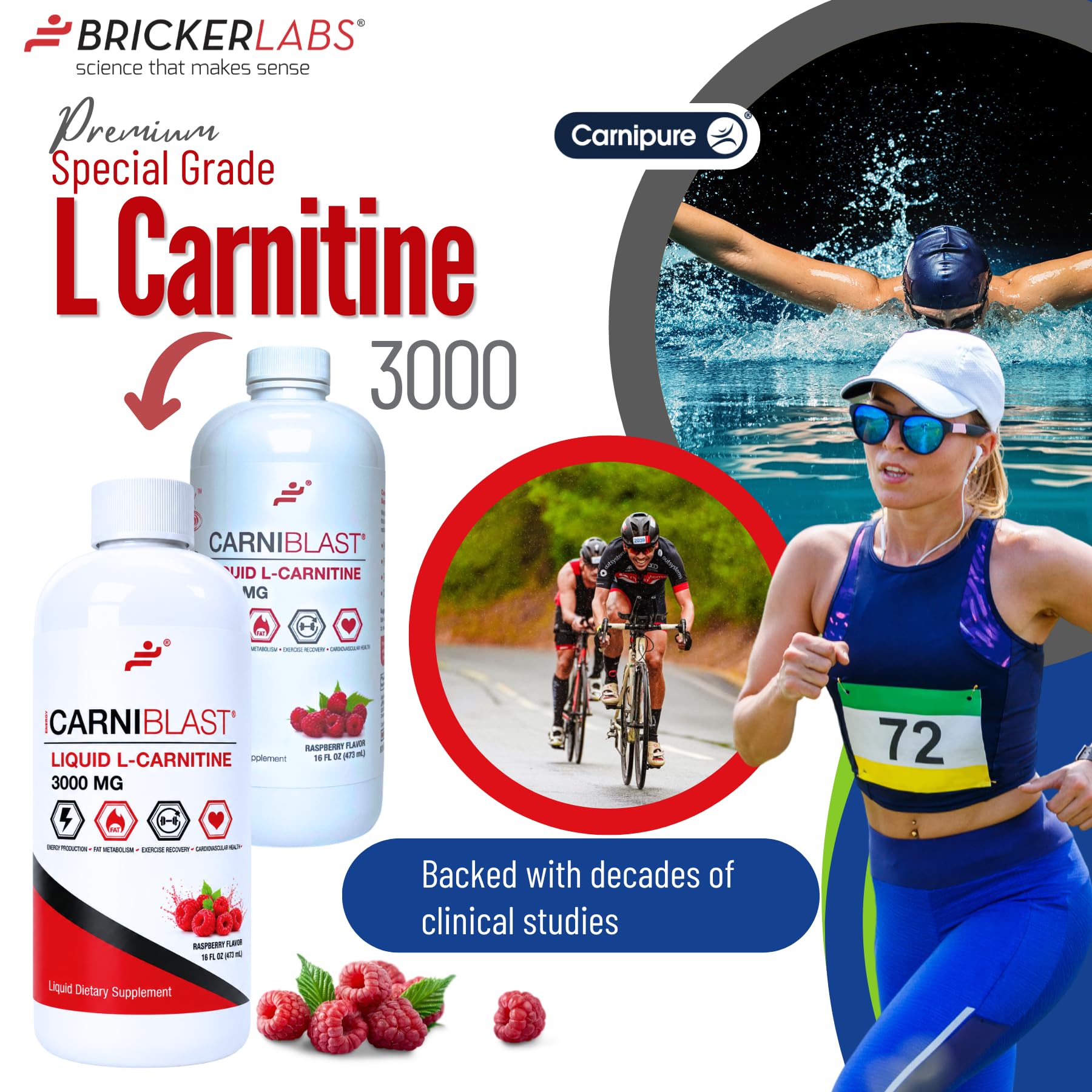 l carnitine organic Acetyl L-Carnitine, ALC – Green Organic Supplements