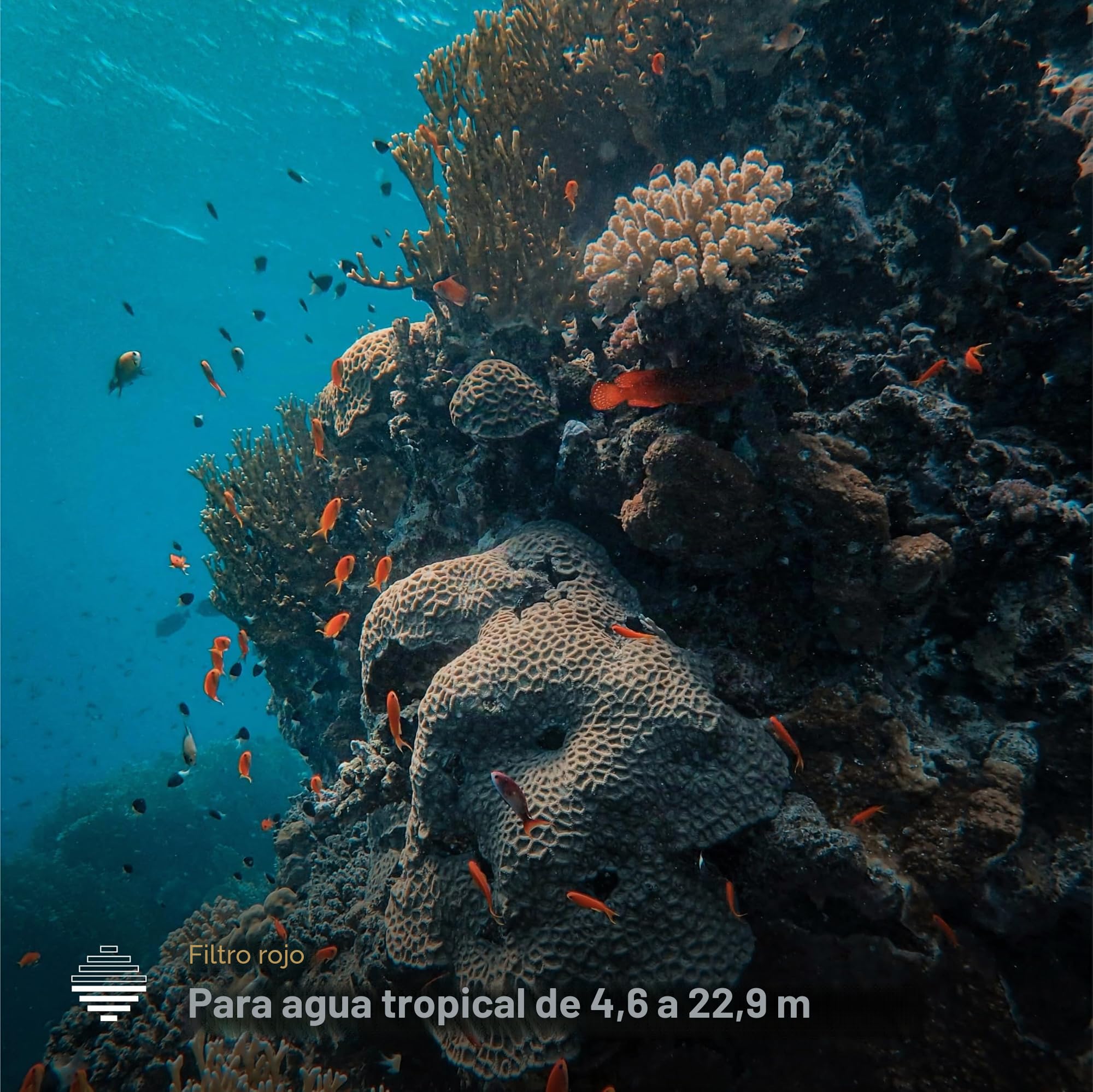 PolarPro - DiveMaster - Juego de filtros para GoPro Hero 9, 10, 11 y 12