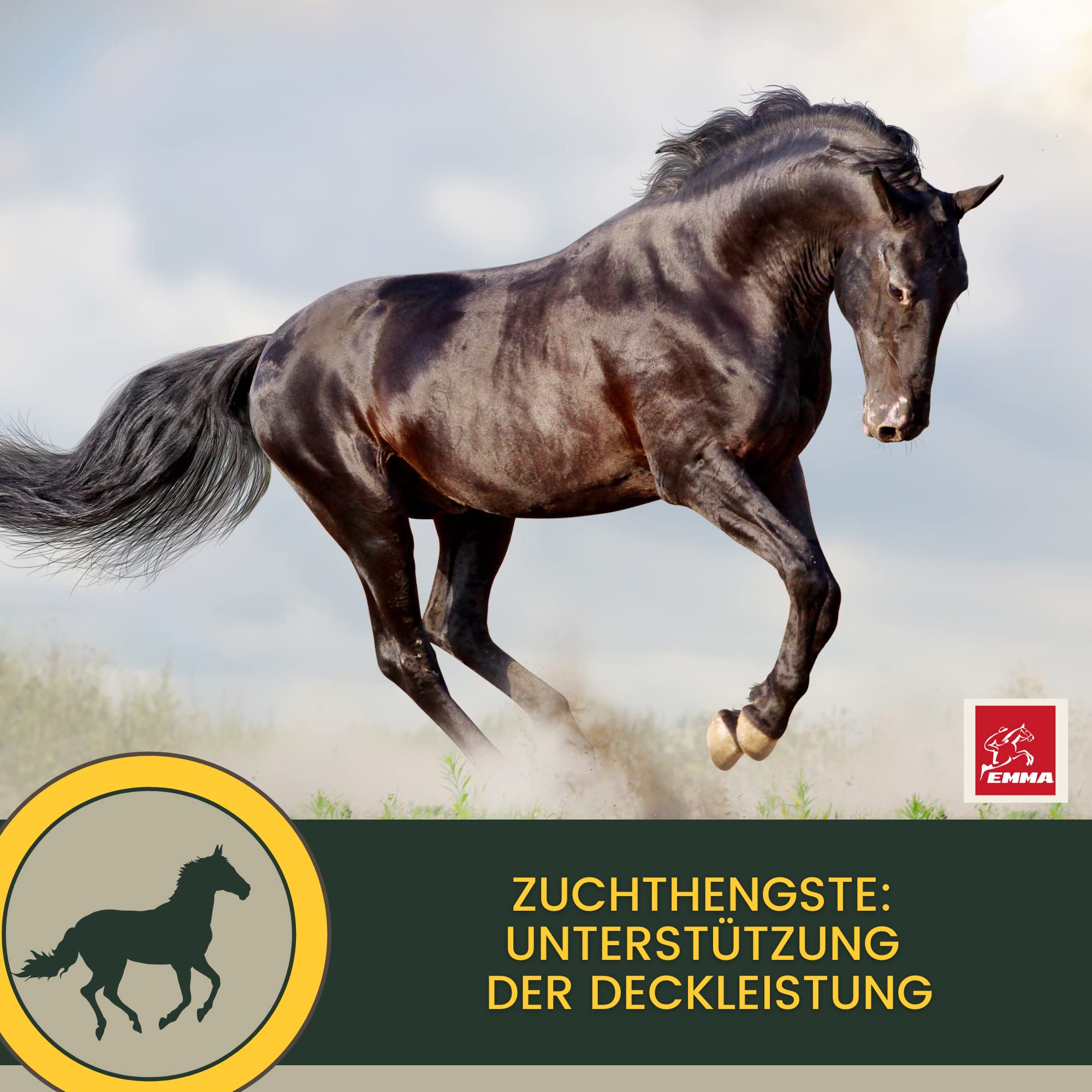Vitamine b complexe cheval I Multivitamines pour chevaux - chevaux vitamines avec vitamine C K B1 B2 B6 B12 zinc cheval I B vitamines complexe système immunitaire Vit b jument poulain nourriture 1L