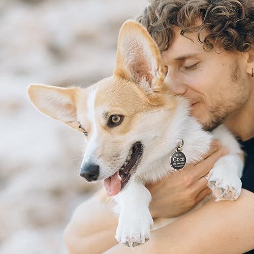 Miniatura 6 de Etiquetas para perros personalizadas para mascotas, etiquetas de perro personalizadas con nombre de perro, código QR, etiquetas de identificación