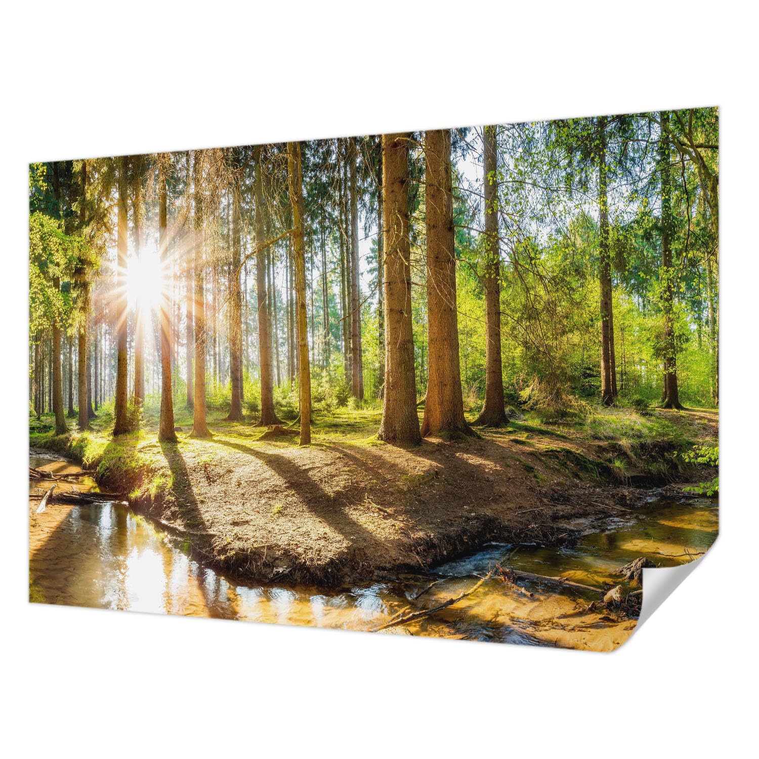 Fotomural adhesivo resistente a las manchas decoracion moderna autoadhesiva 152x104