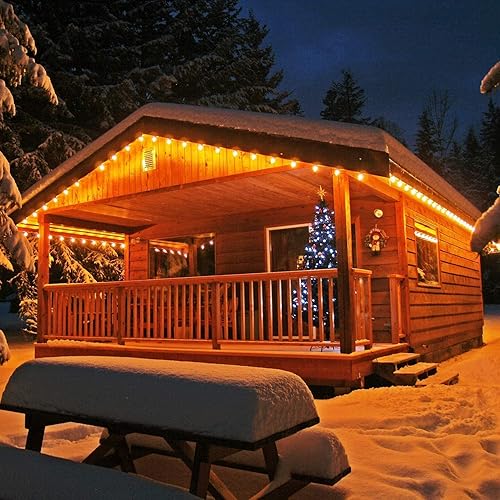 Miniatura 7 de Abeja Bombillas LED G40 esmeriladas, bombillas LED de plástico inastillables de 0.6 W, bombillas de globo esmerilado para base de candelabro C7E12,