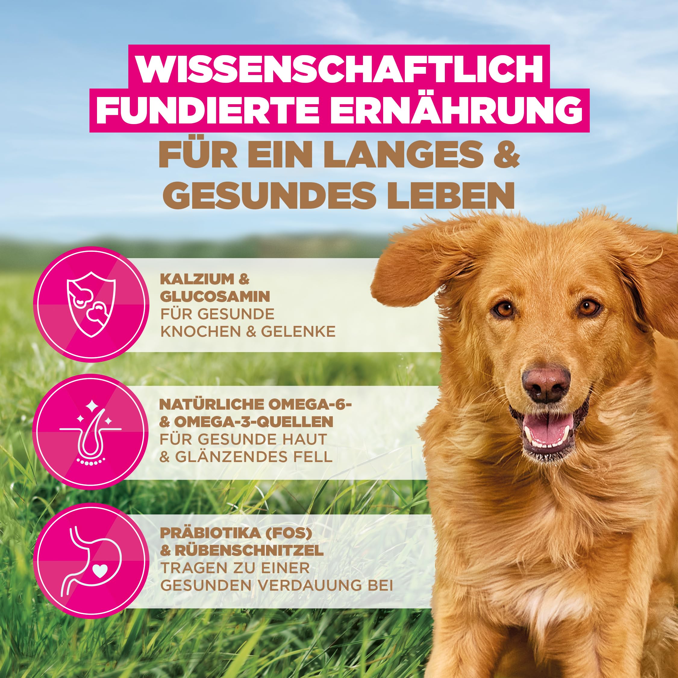 Eukanuba Hundefutter getreidefrei mit Lamm für große Rassen, Premium Trockenfutter ohne Getreide für ausgewachsene Hunde, 12 kg