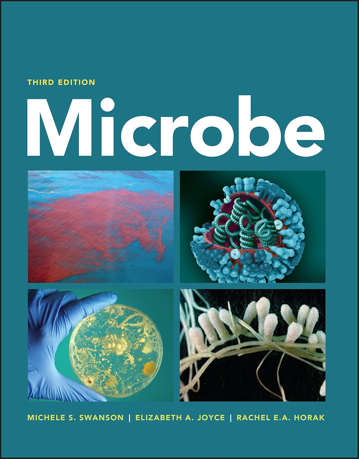 Microbe (ASM Books)      3rd Edition