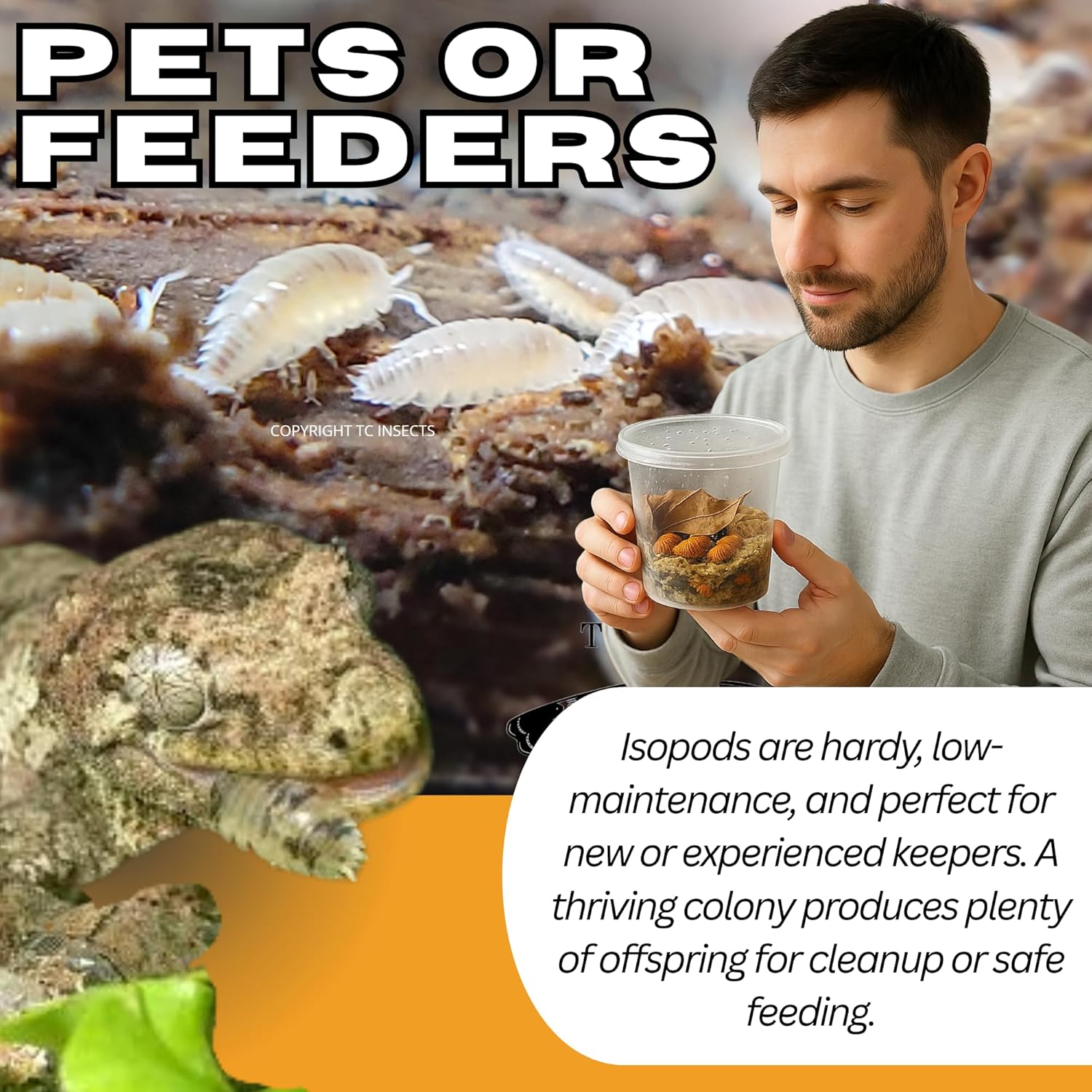 100ct Dwarf White Isopods Bioactive Feeders Clean Up Crew, Cuc, Amphibian/Reptile/Terrariums Bioactive Habitats