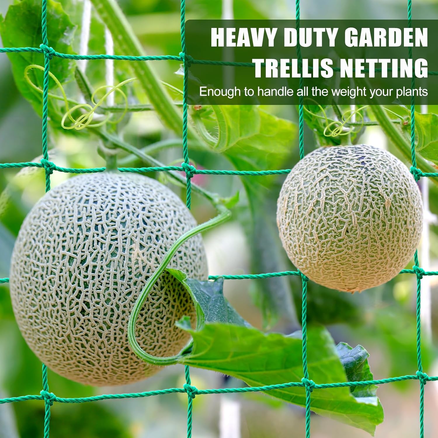Garden Trellis Netting - Heavy Duty Trellis Net for Climbing Plants, Plant Netting for Cucumber, Tomato, 27 Strands Nylon & 4x4 Inch Mesh, Grow Netting for Fruits, Vegetables, Grape, Bean(6.6x32.8 FT)