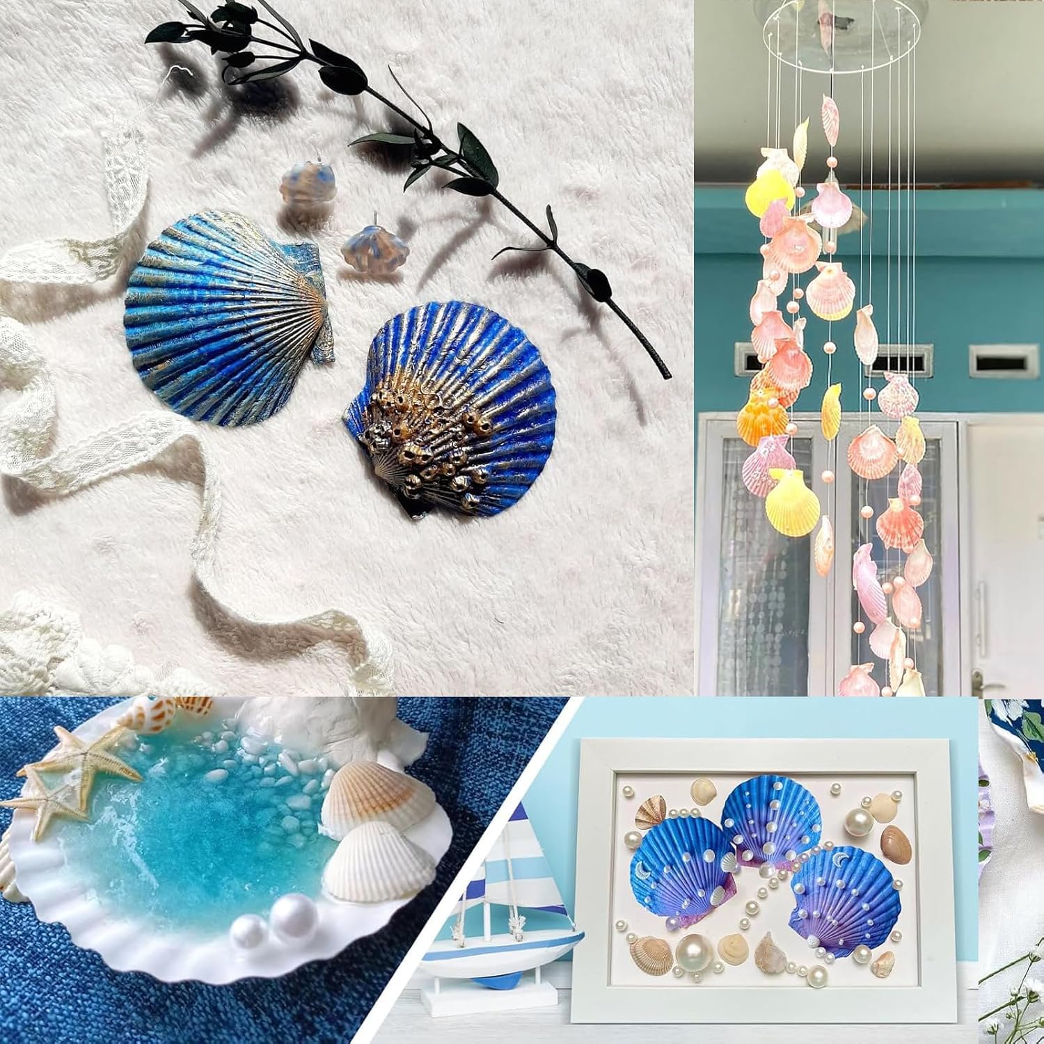 Jangostor 12Pièces Coquillages De Pétoncles Coquillages Naturels, 10cm - 12cm Blanc Coquille De Mer Petit Coquillage Pour Mariage Décoration Plage Thème Fête, Réservoir De Poissons Et Vase Remplissage