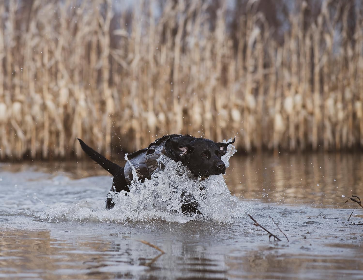 ALPS OutdoorZ Ducks Unlimited Topflight Dog Vest, Large - Mossy Oak Original Bottomland