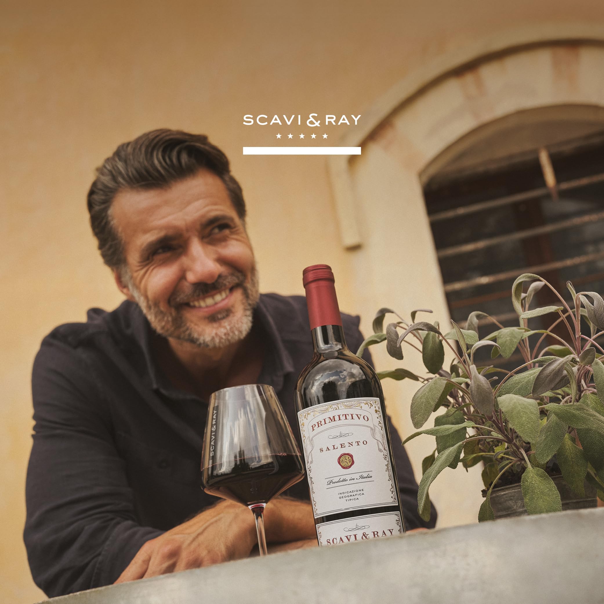 SCAVI & RAY Primitivo Salento IGT Rotwein 13% Vol. - halbtrocken, 6x0,75l | Samtig-weiche Cuvée aus Apulien in Italien, halbtrocken, ideal zu italienischen Gerichten, Gegrilltem und für Genießer