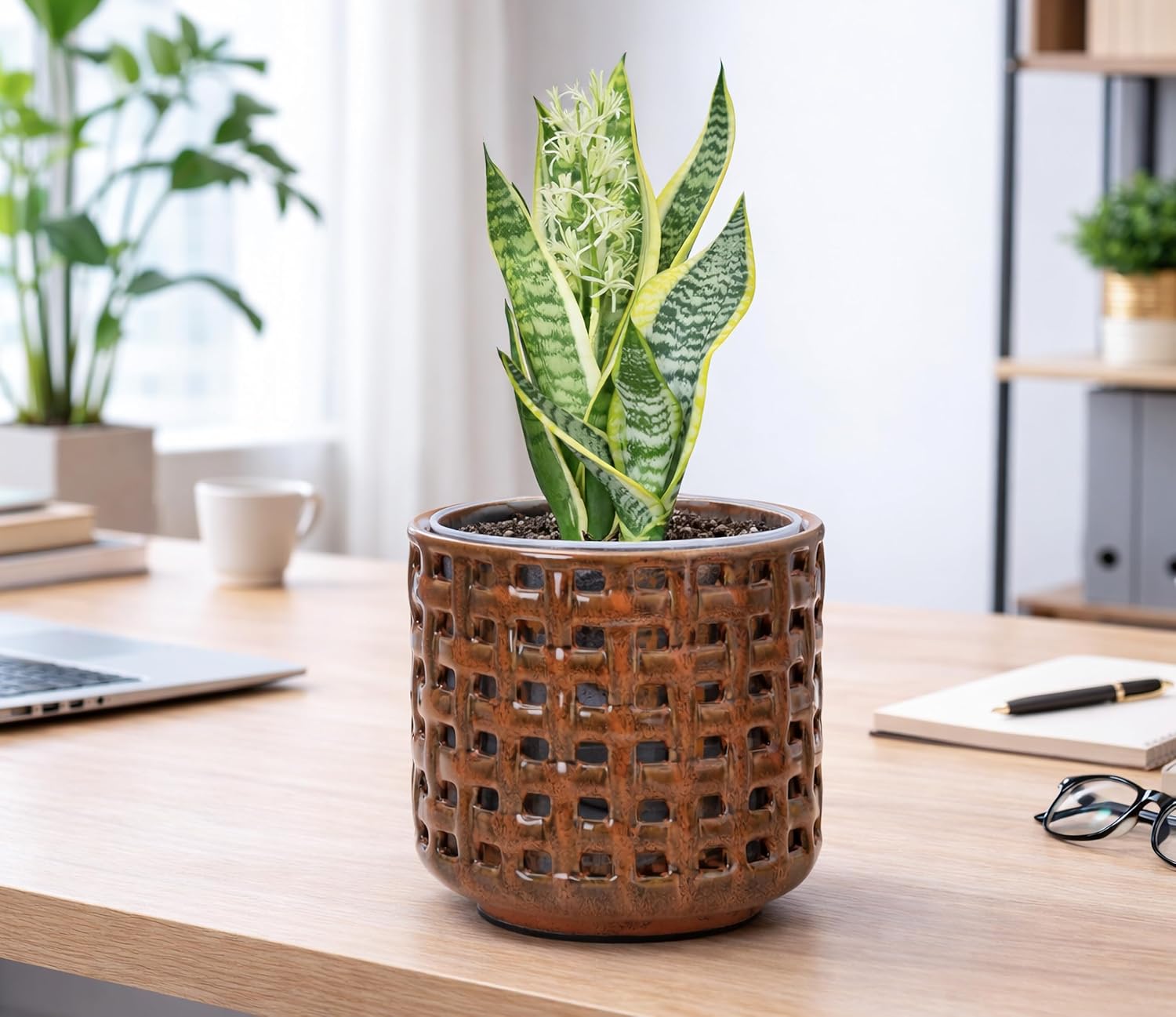 D'vine Dev 6.7 Inch Ceramic Orchid Planter with Lattice Cutout Design, Glazed Cachepot with Clear Nursery Pot & Detachable Saucer for Orchids and Indoor Plants, Pumpkin, 28-A-Y-5