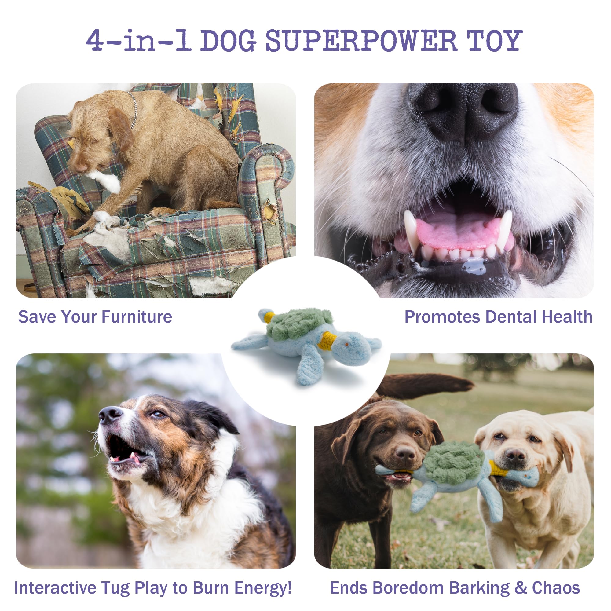 Fuzzwoof Jouet couineur pour chien, jouet tortue à tirer et froisser pour chien, jouet interactif en peluche robuste pour les garder occupés