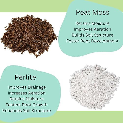 Miniatura 42 de Suelo de árbol del dinero (4 cuartos de galón), mezcla para macetas para plantar/trasplantar Pachira Aquatica, mezcla de suelo personalizada