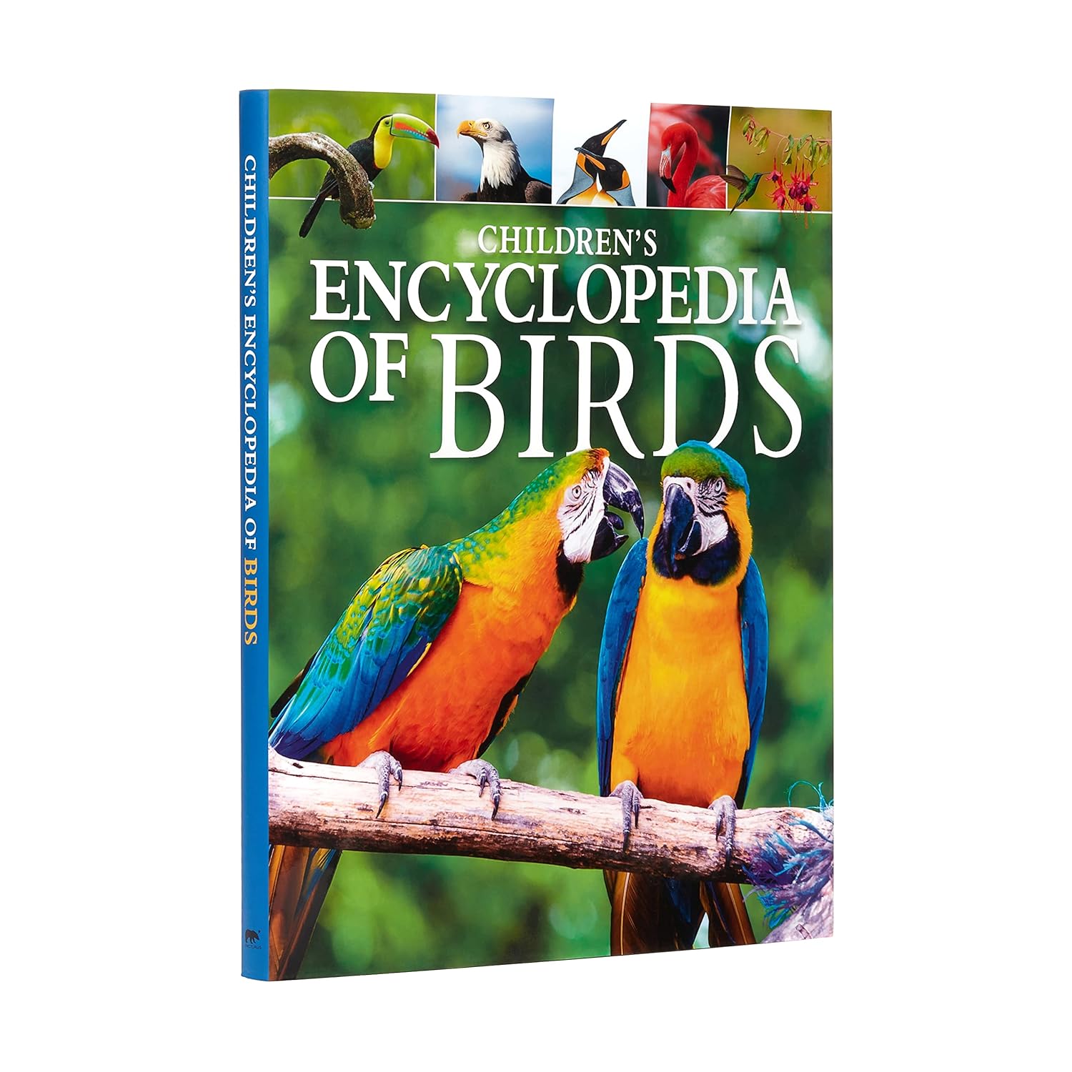 Childrens Encyclopedia Of Birds      Hardcover – March 15, 2020