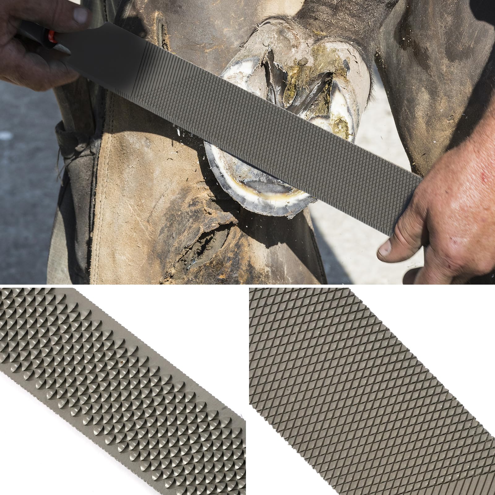 10-TLG Pferd Hufschmied Huftrimm Werkzeug Kit Professionelle Hufschneidezange Hufmesser Hufraspelt Hufzange für Pferde Multifunktions Hufschmied Hufeisenwerkzeug