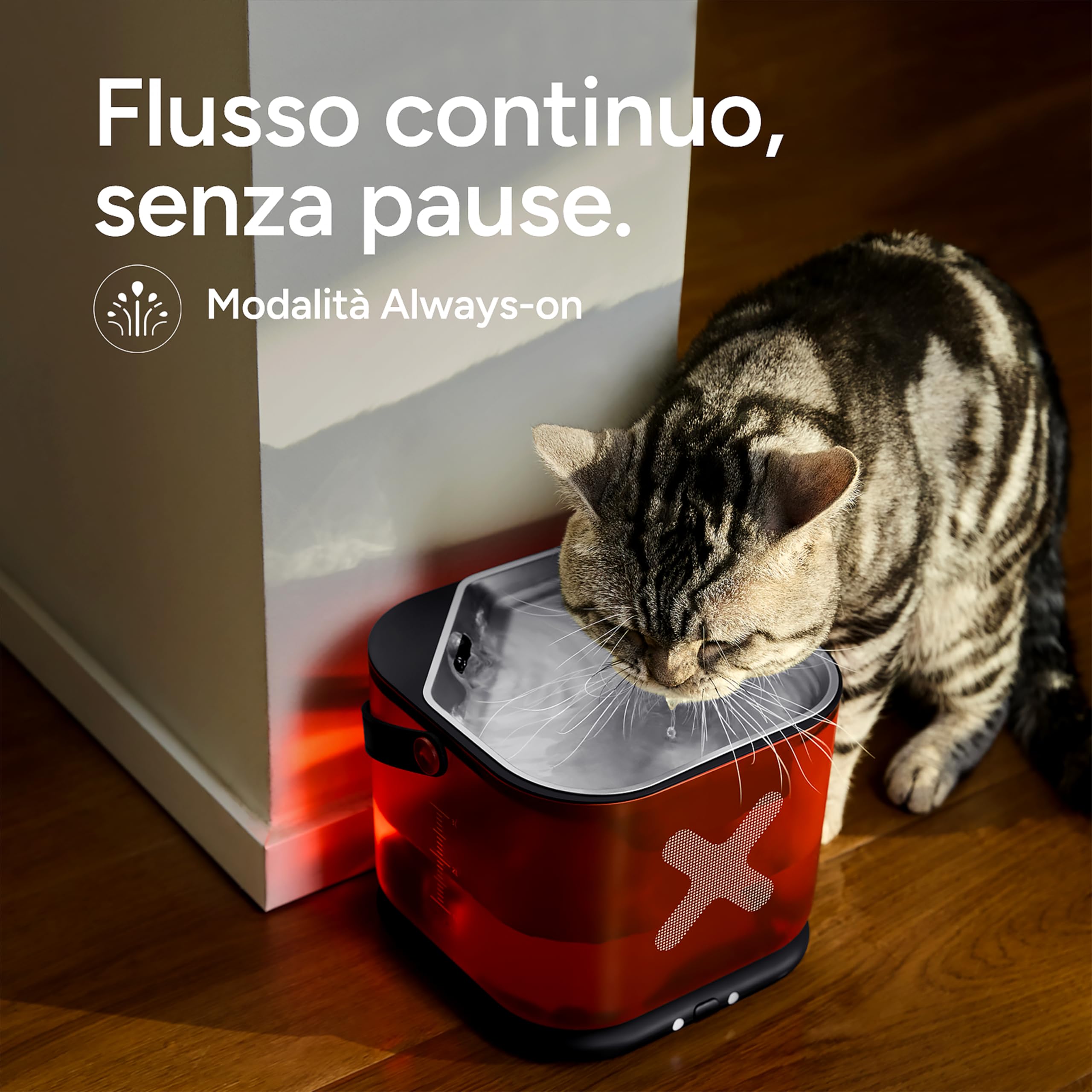 Molly&Cody Fontana d'acqua per gatti, fontana automatica senza fili per animali domestici, dispenser d'acqua in acciaio inox da 3 litri con base staccabile, funzionamento a batteria, silenziosa per