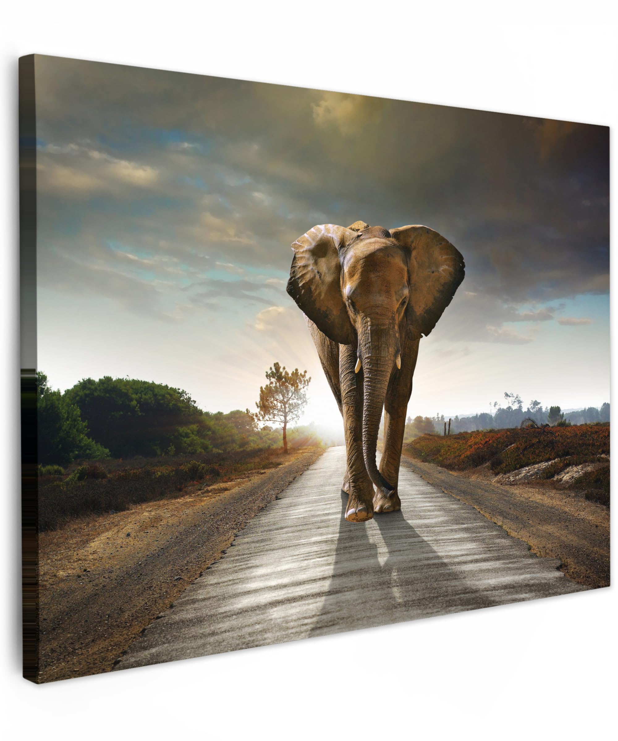 MuchoWow© Canvas Wall Art 16"x12" / 40x30 cm Decor Paintings Print framed on Canvas Pictures for Hallway Elephant - Road - Animals - Sunset - Landscape