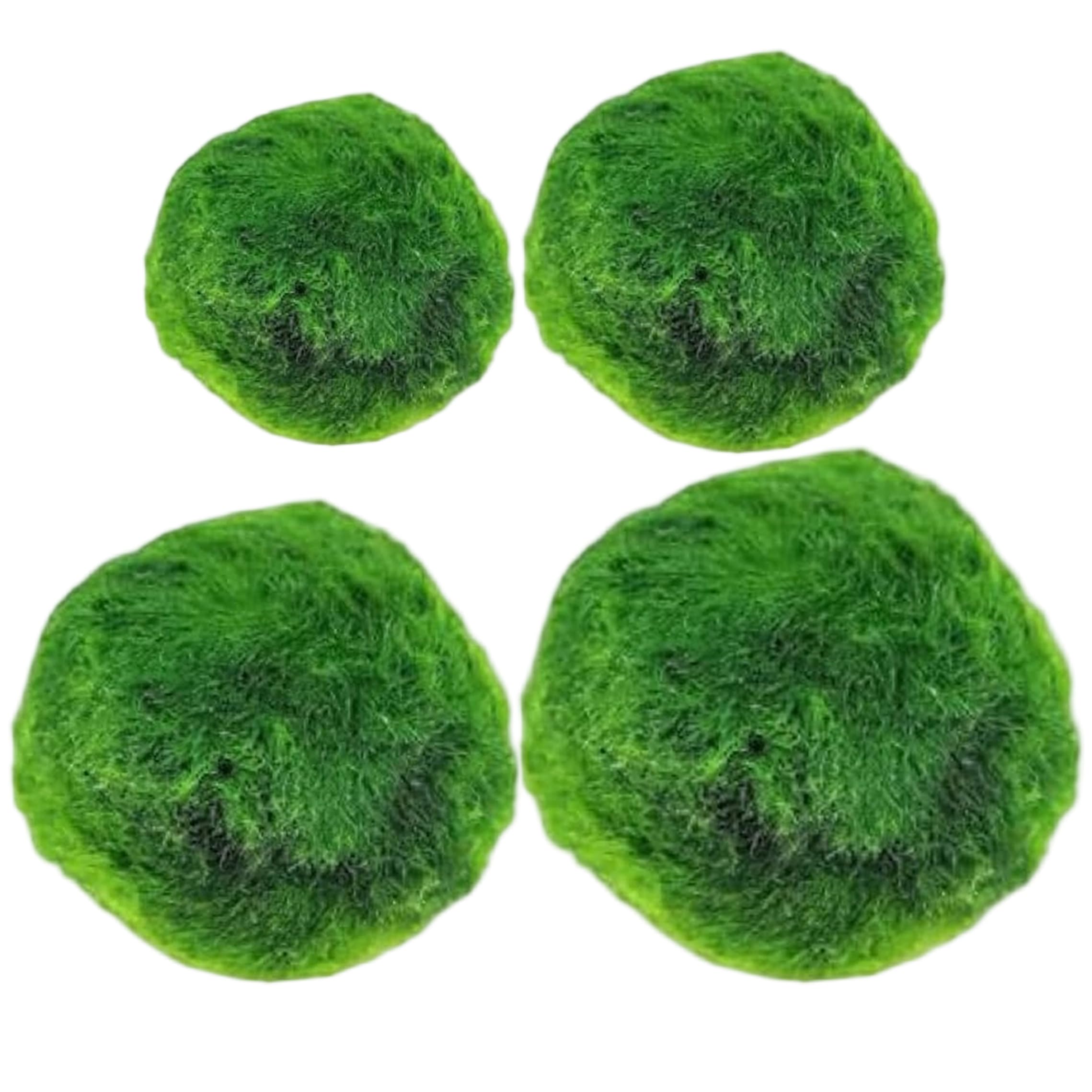 Vistnale 4pcs Marimo Moss Balls Live, Aquarium Moss For Fish Tank & Terrarium Decor, Assorted Sizes (0.79-1.69 Inch)