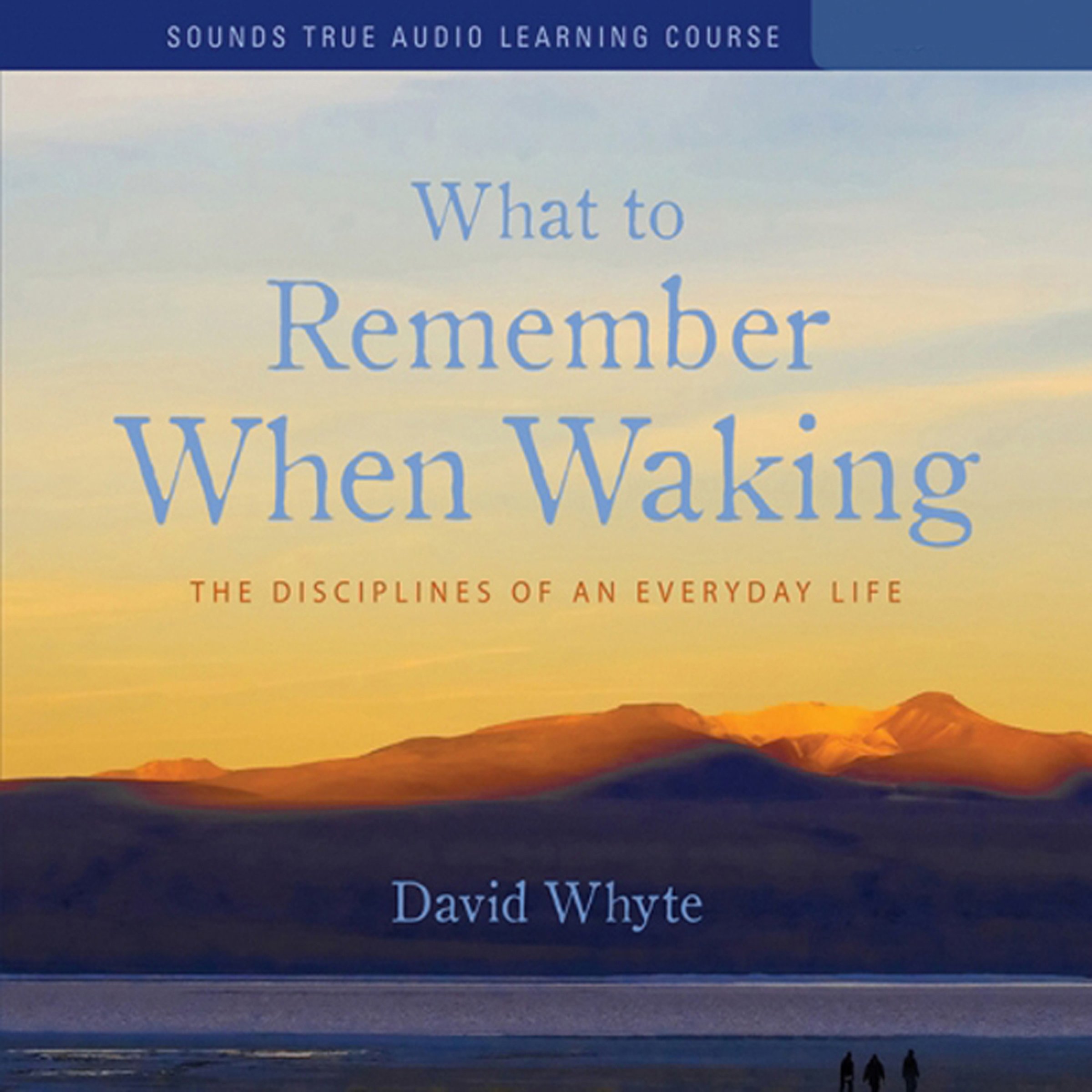 Cover art for What to Remember When Waking