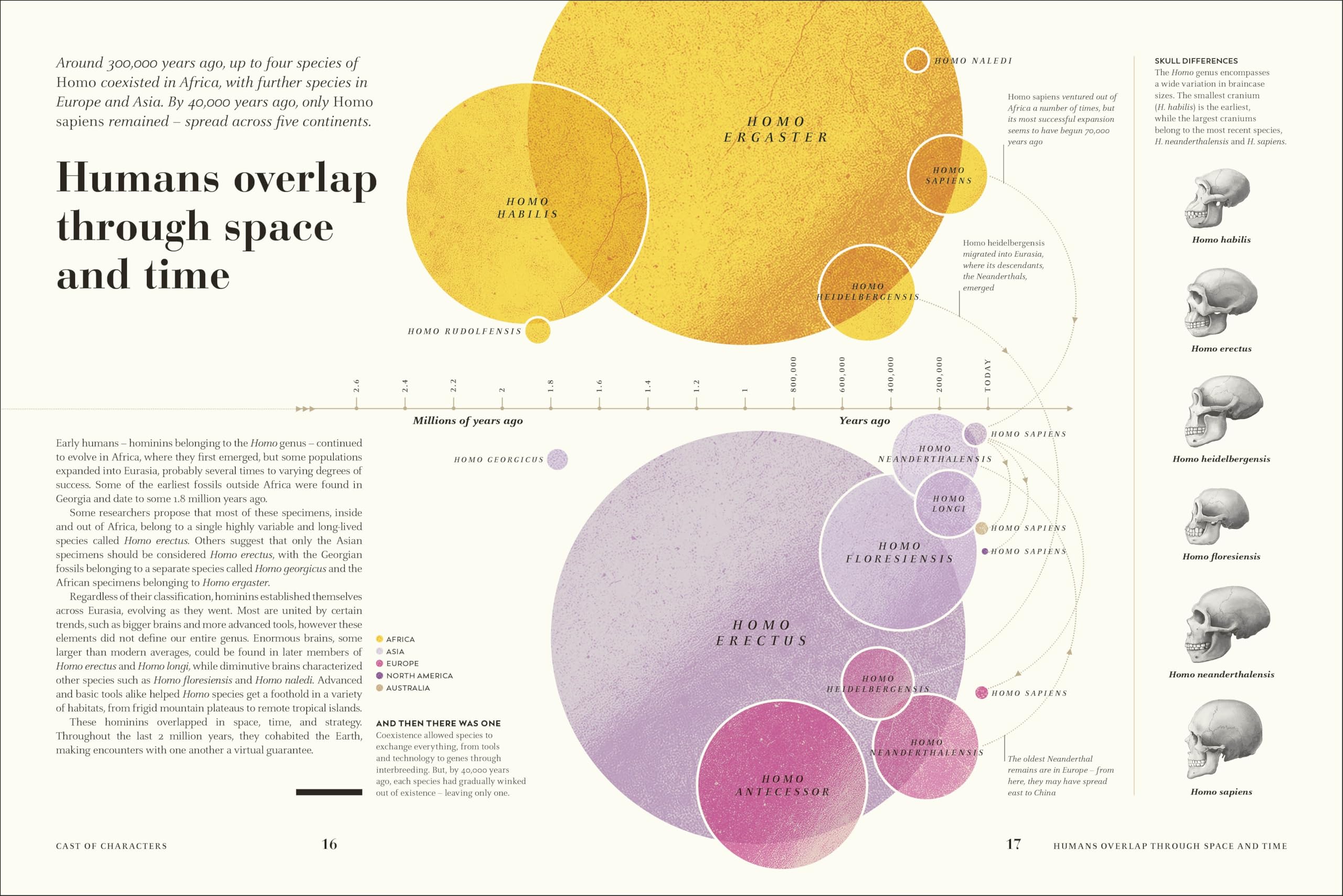 Humans: The Evolution of a Species