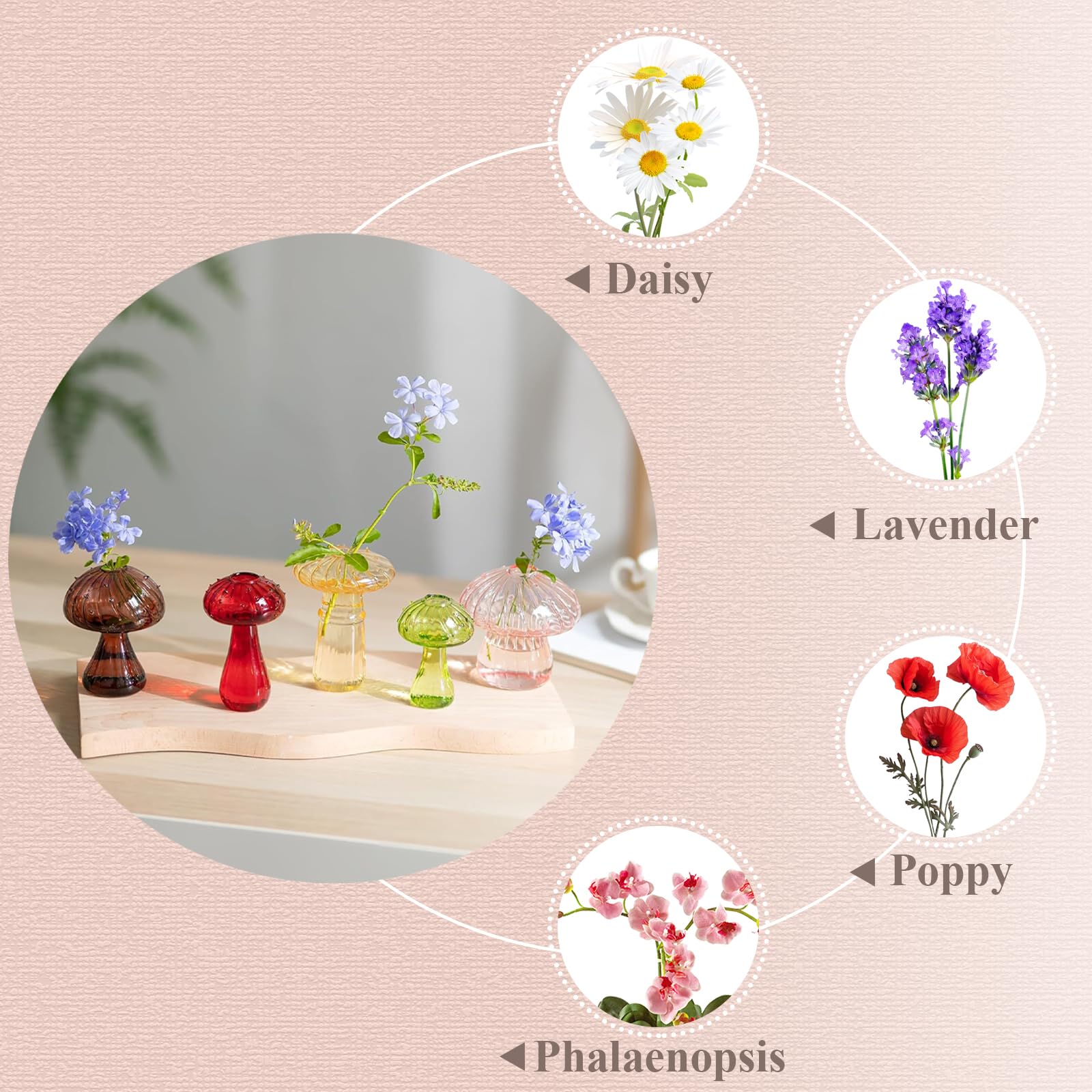 Vasi Di Vetro Rotondi Set Di Terrari A Forma Di Fungo Bottiglie Di Vetro Decorative La Decorazione Della Tavola Di Casa, Ornamenti In Stile Moderno, Set Da 6 Pezzi Da 29,36 € | DHgate